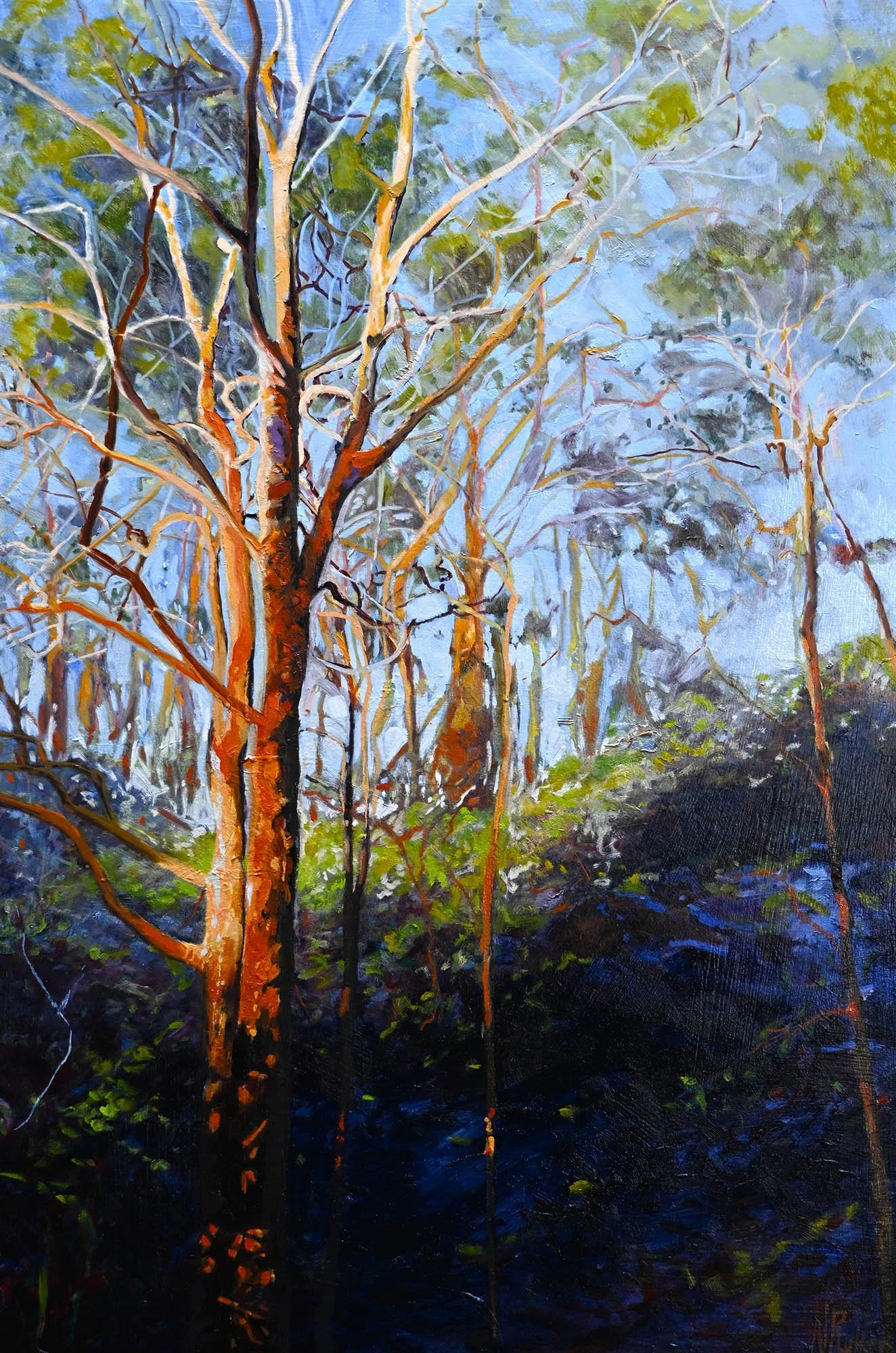 Angophora Forest
oil on birch panel
framed in Tassie oak
91 x 61 cm