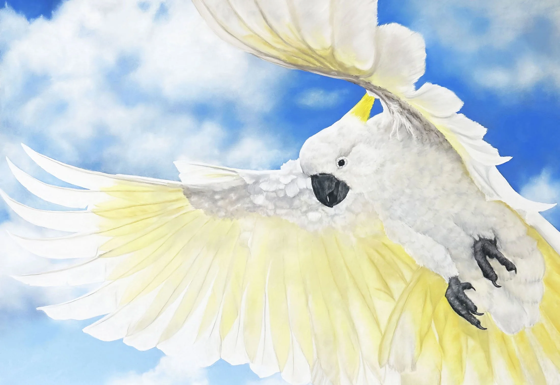 The Weight of Light
soft pastel
64 x 95 cm / 88 x 119 cm
$4,500