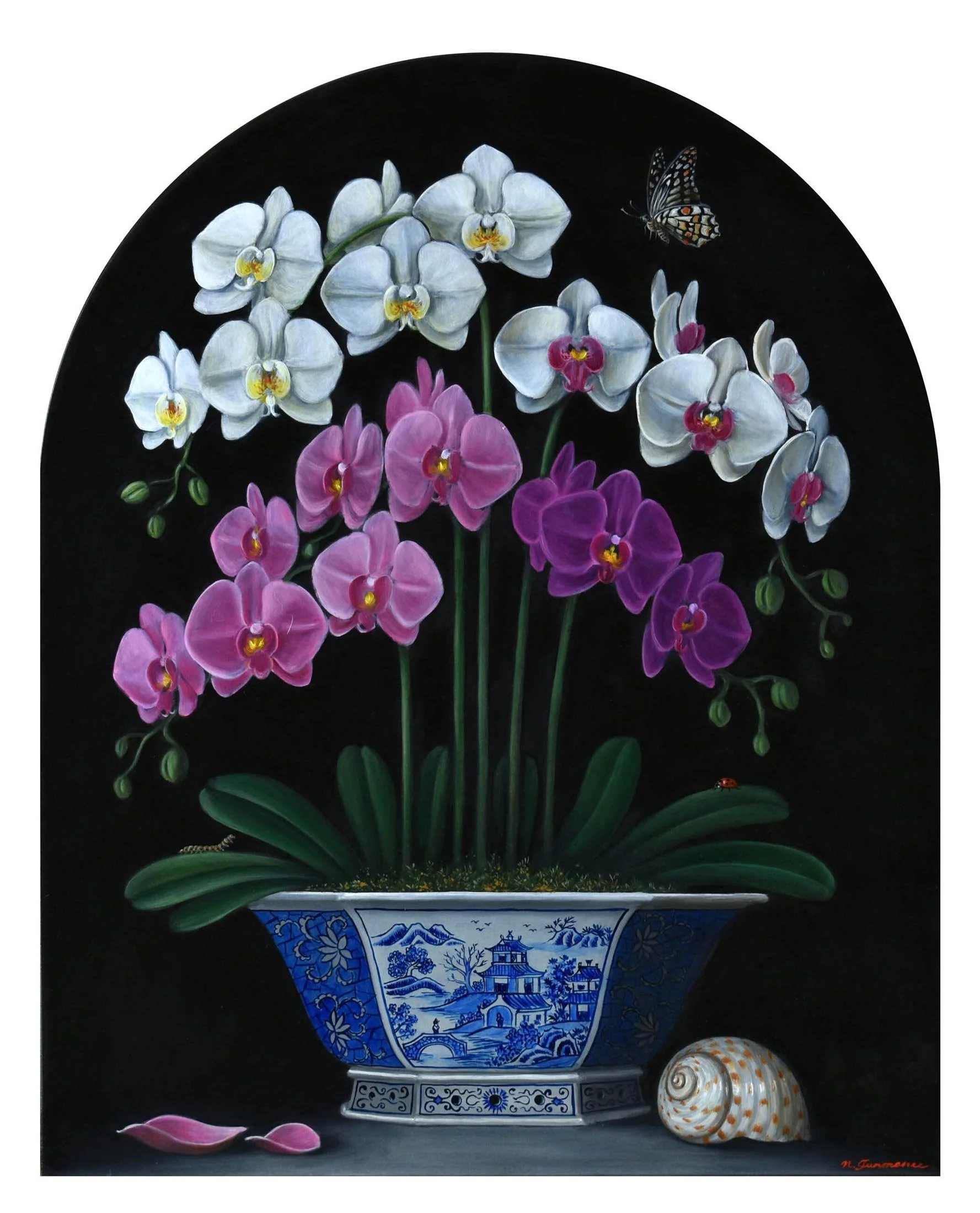 Moonlight Orchids
oil on board
56 x 45 cm (arch)
$2,900