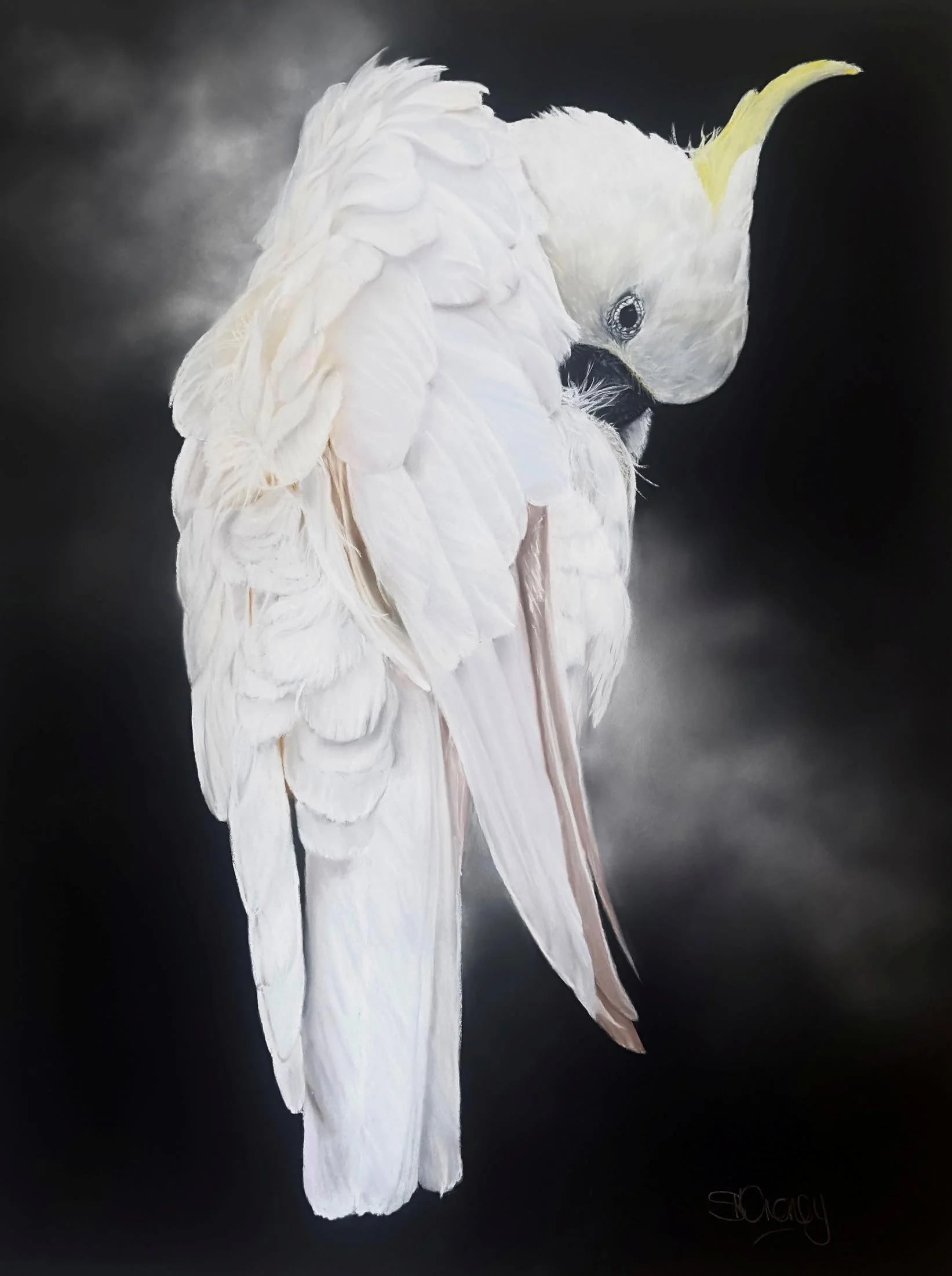 Sforzando
soft pastel 
62.5 x 45 cm  /  framed 83 x 65.5 cm
$ 2,900