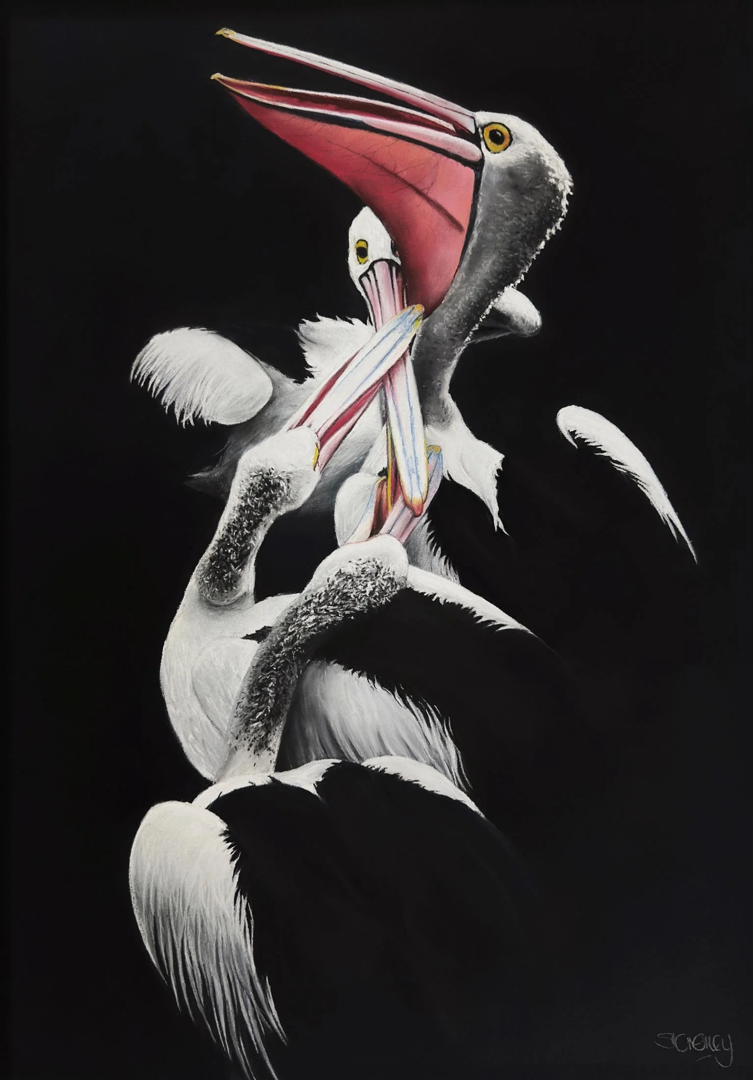 Pas de Quatre
soft pastel 
65.5 x 45cm / framed 88 x 68.5 cm
$ 2,900