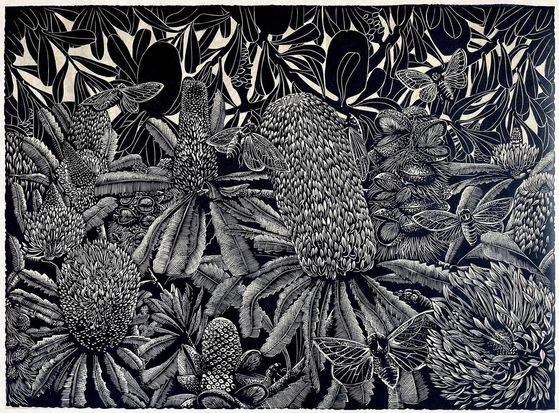 Rhythm of Summer
linoprint ed. 9/15
45 x 62 cm / framed 69 x 85 cm
$1,500 (framed)