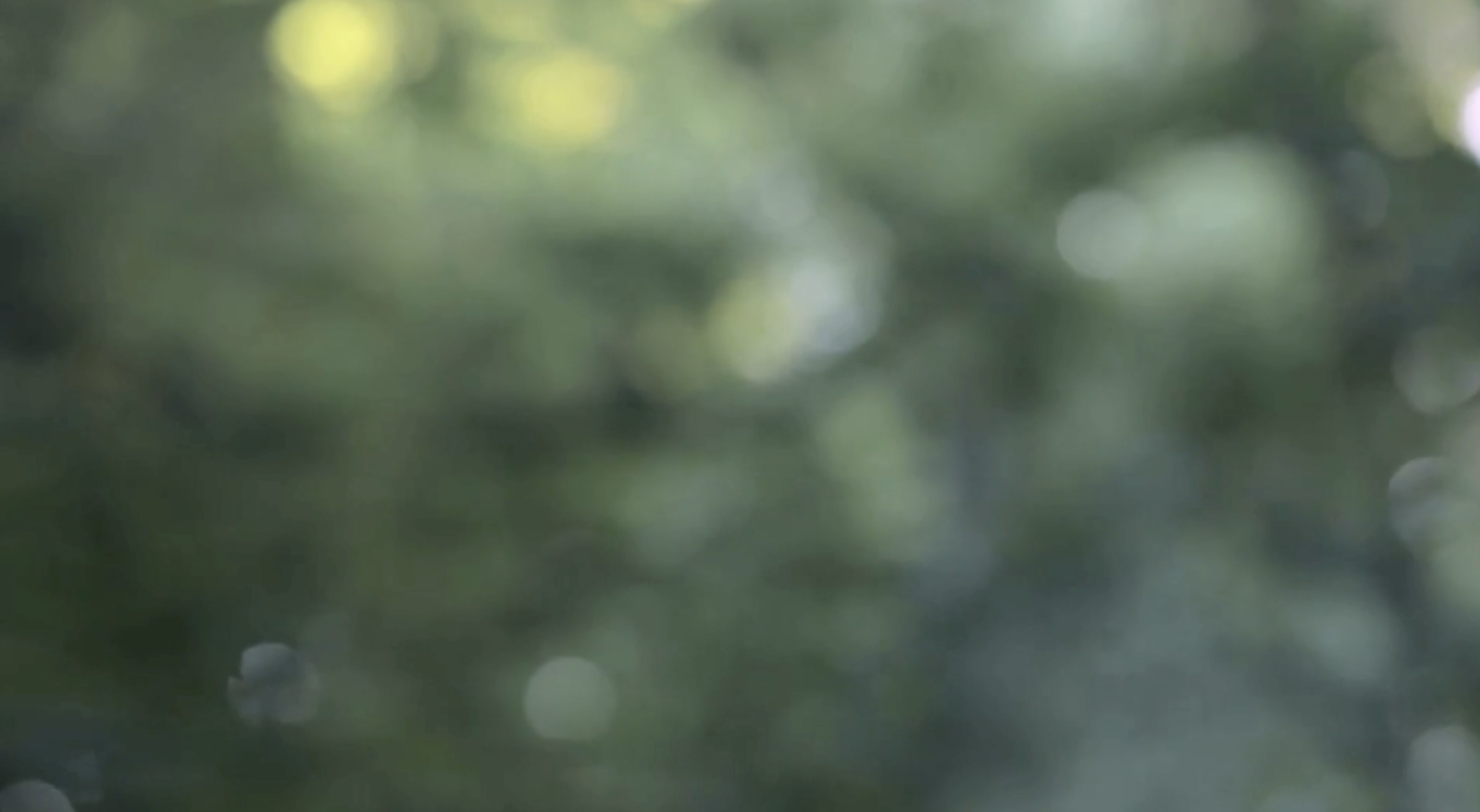 Greenbackground.png