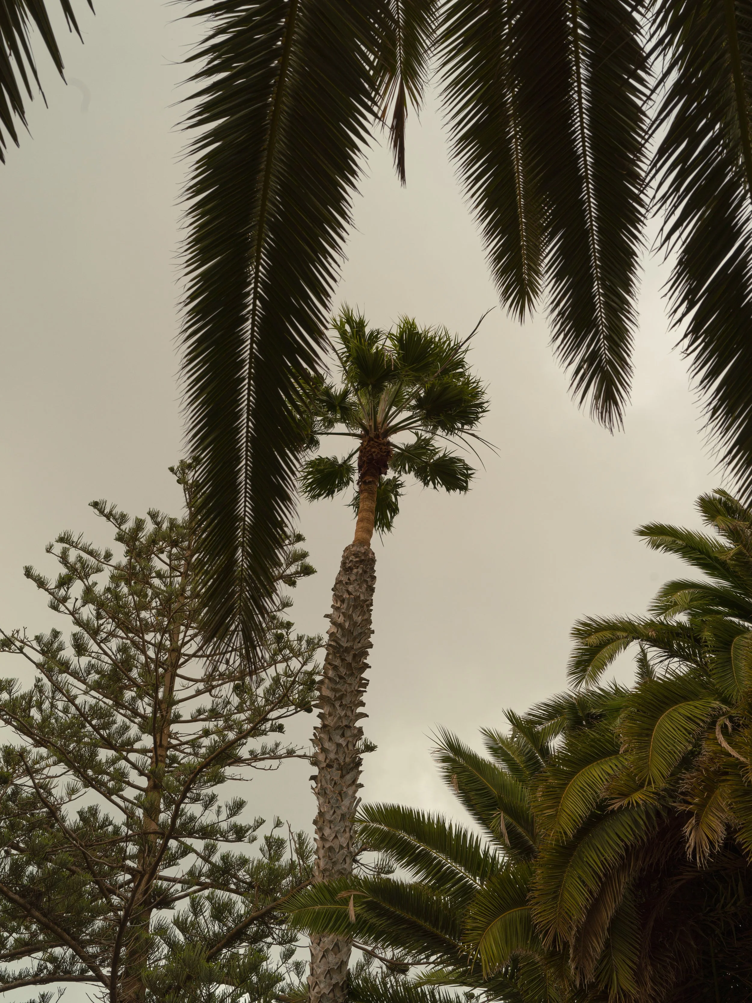 Lanzarote_0291.jpg