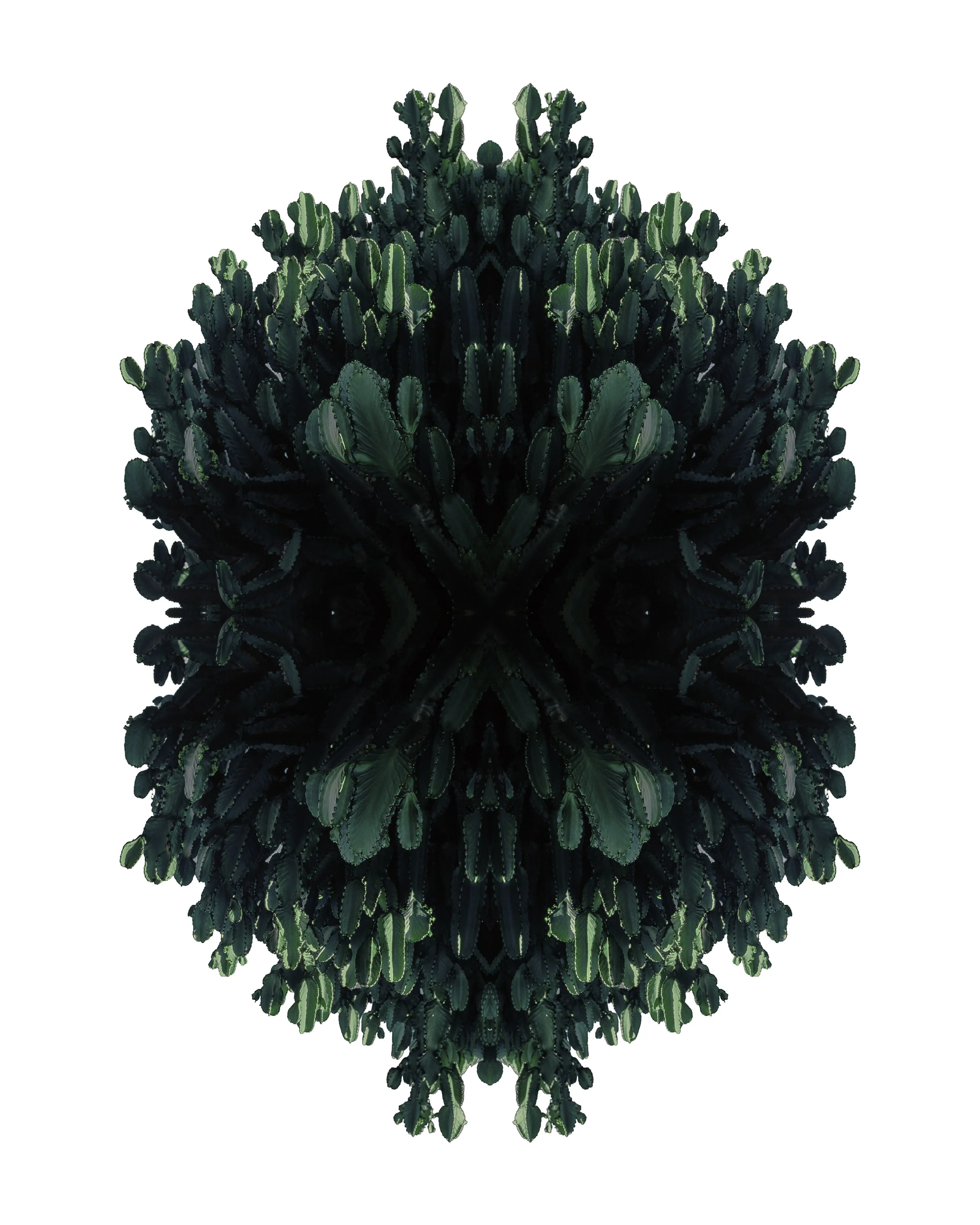 Totem 
2025 
184 x 159