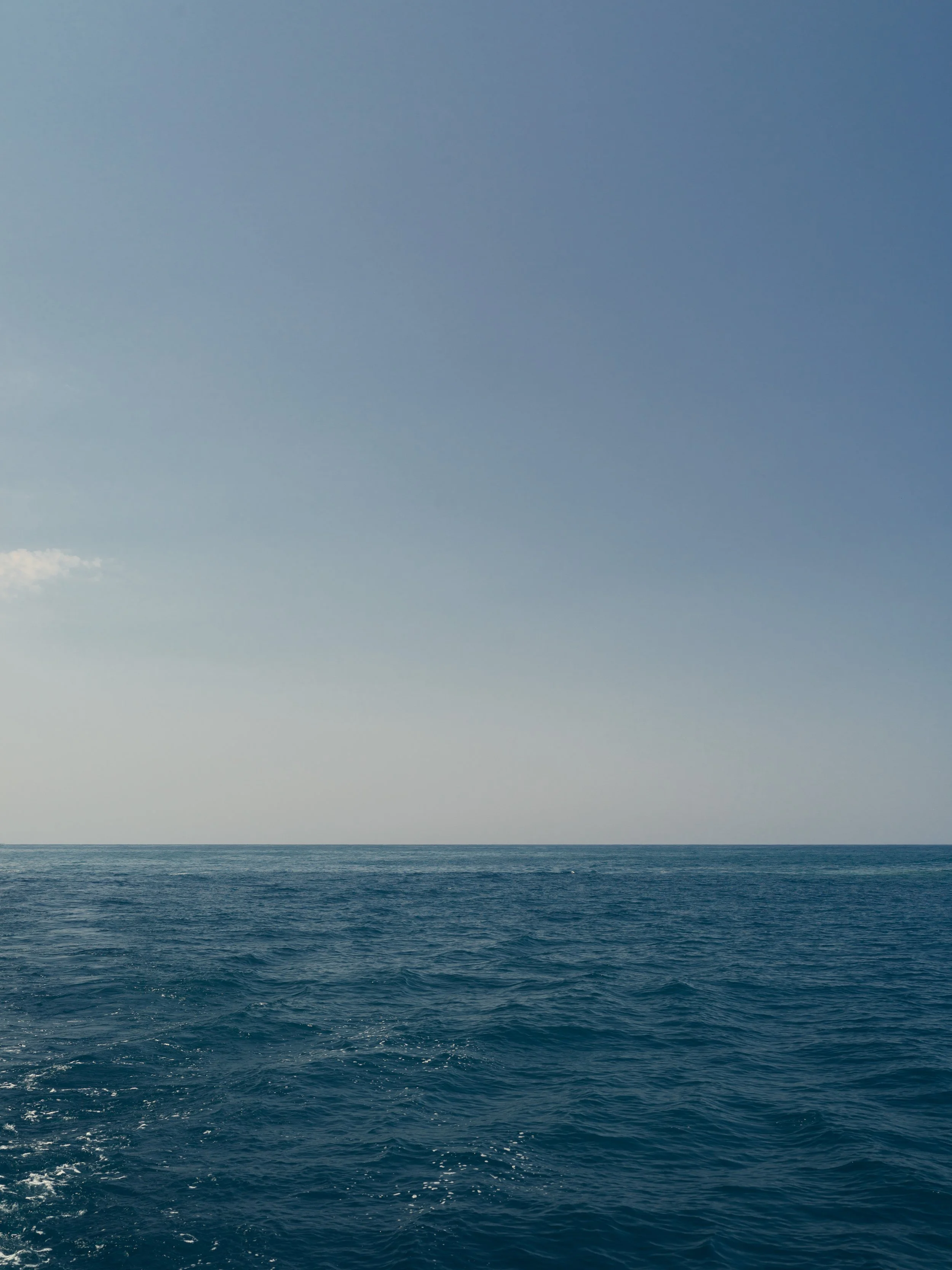 B0000217-Edit.jpg