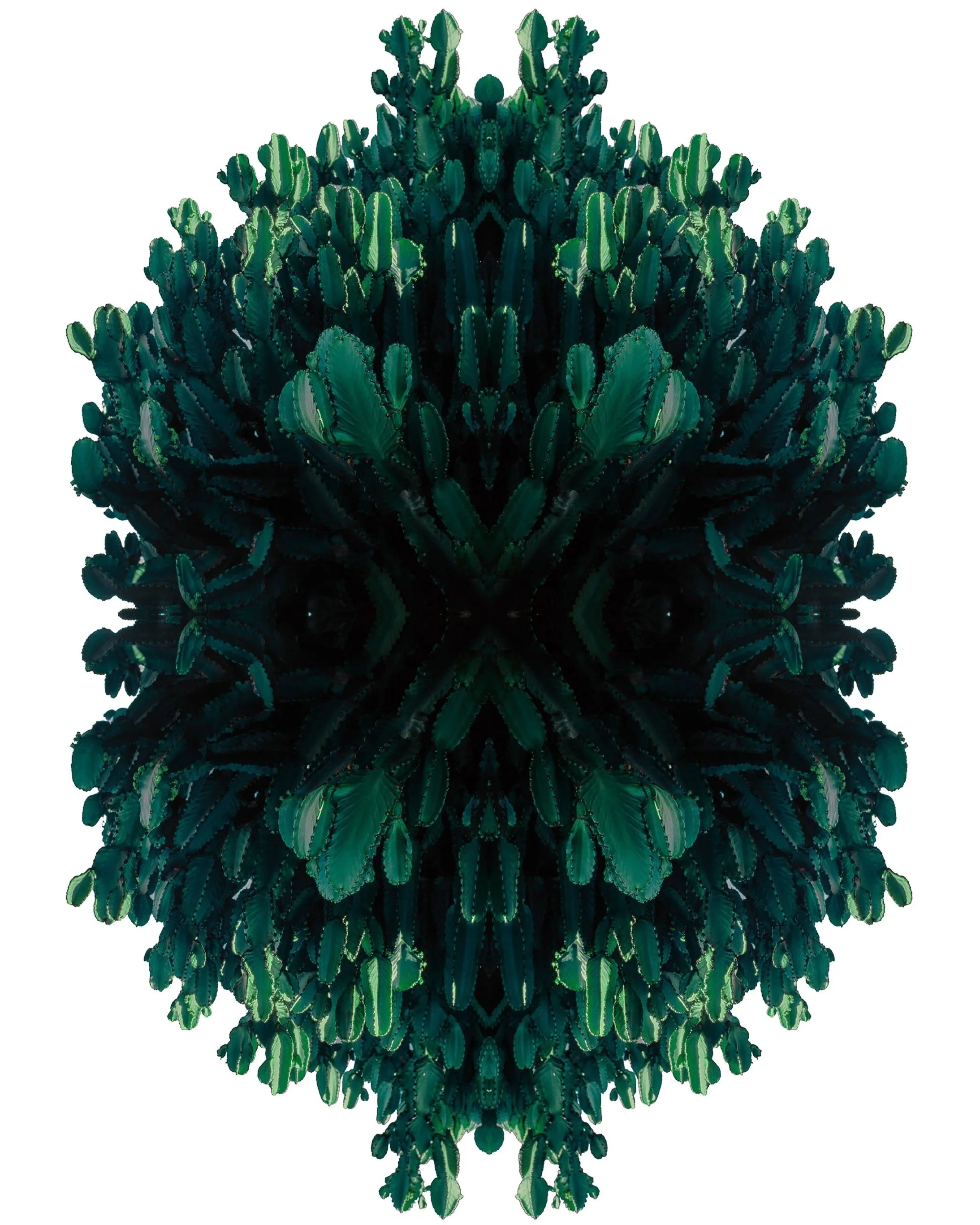 Morphologies