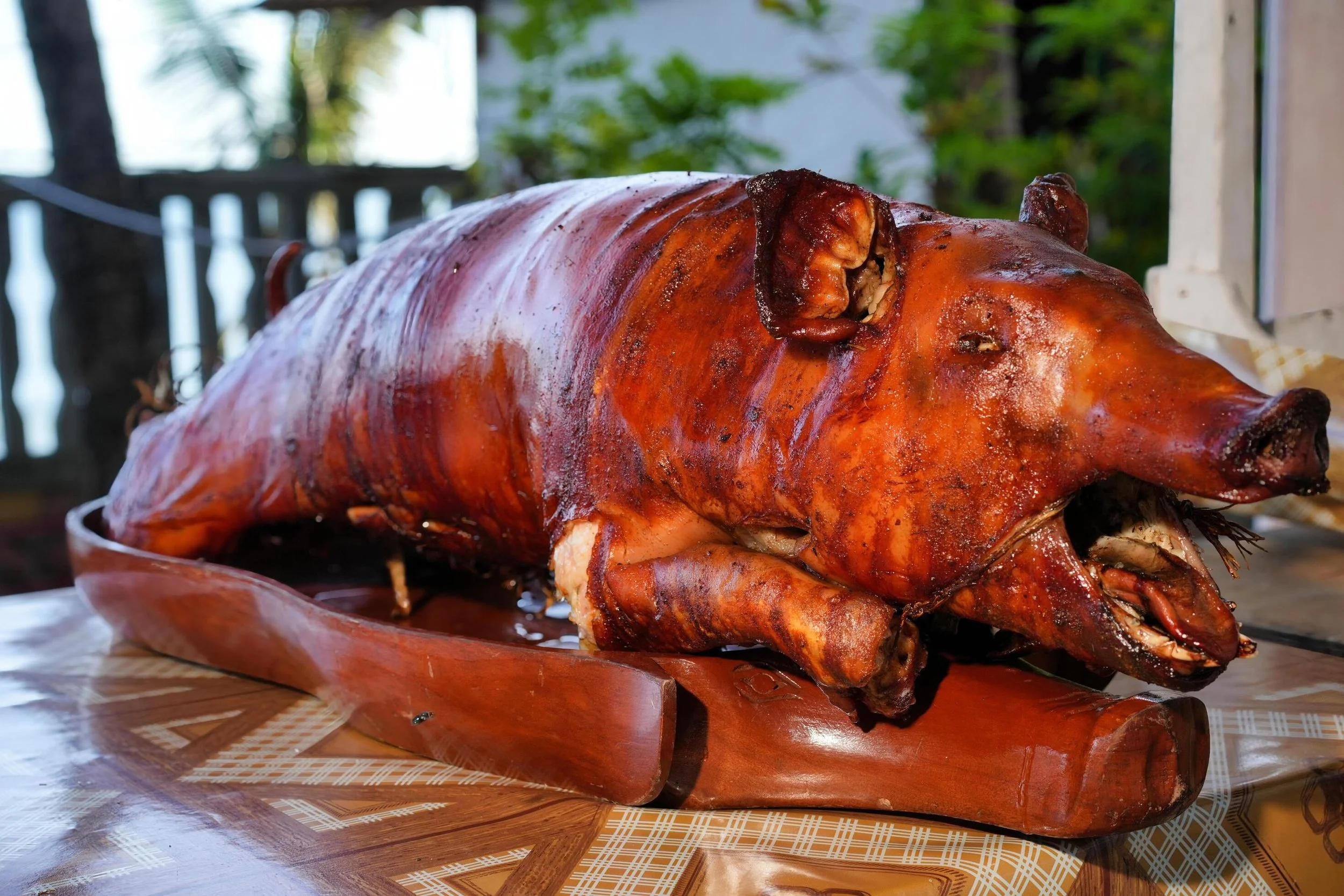 Cooked & Deliver Whole Pig 14KG-18KG