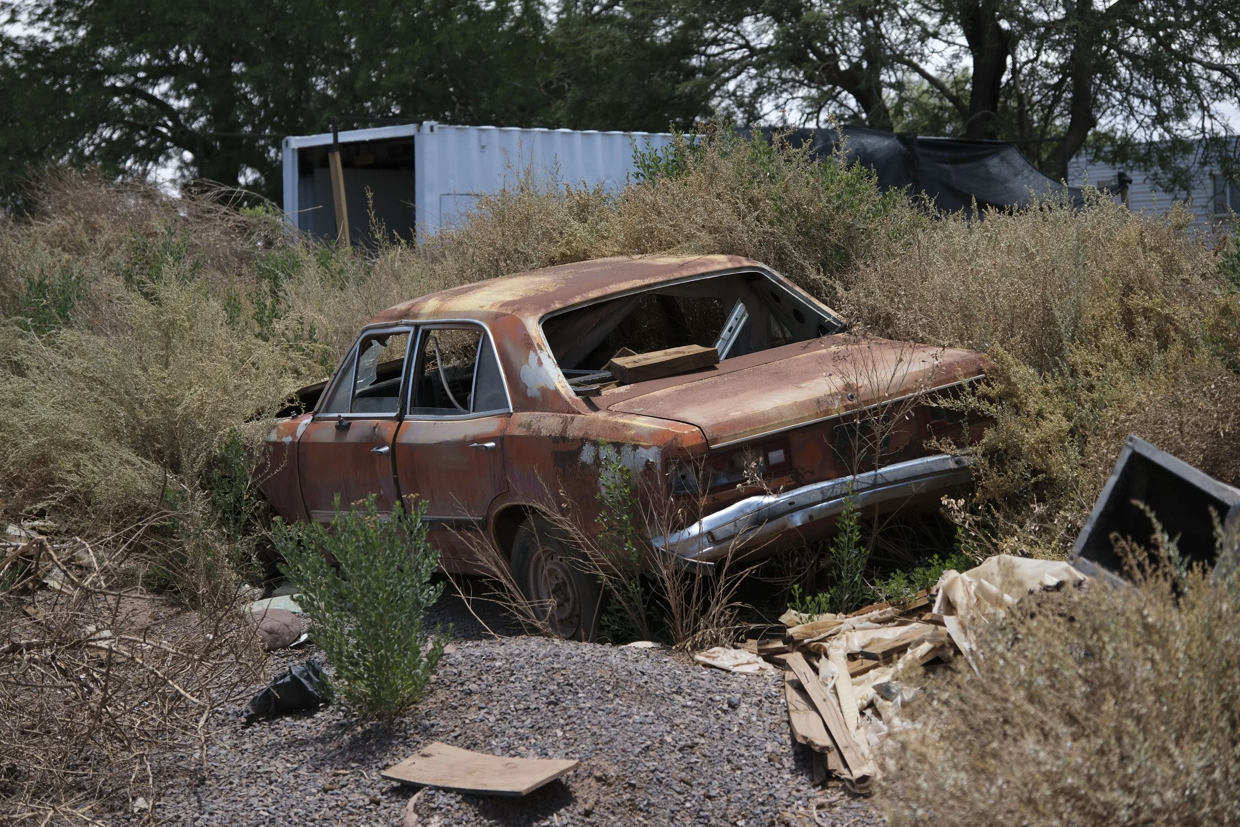 DSCF2095.jpg