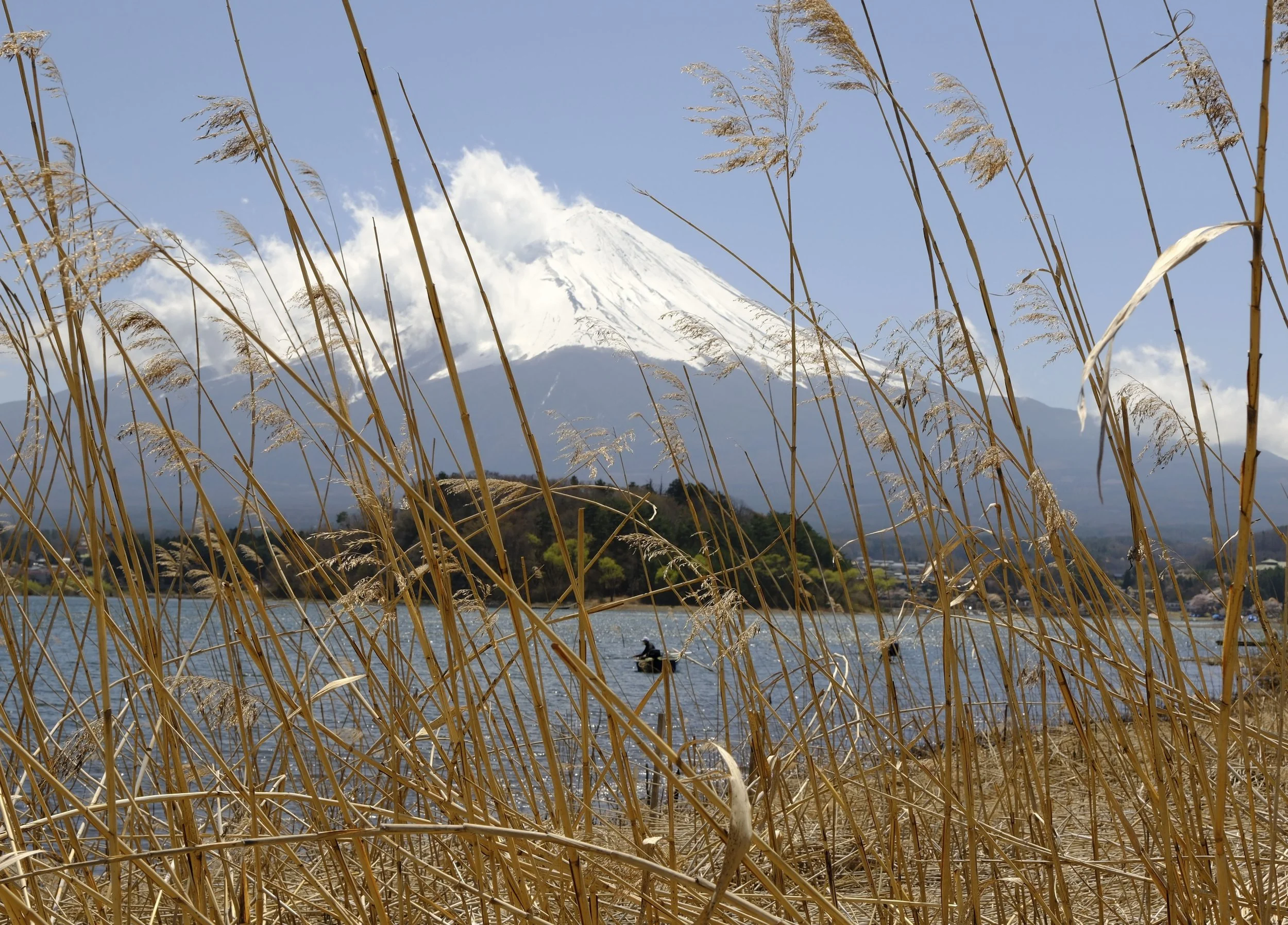 DSCF1647.jpg