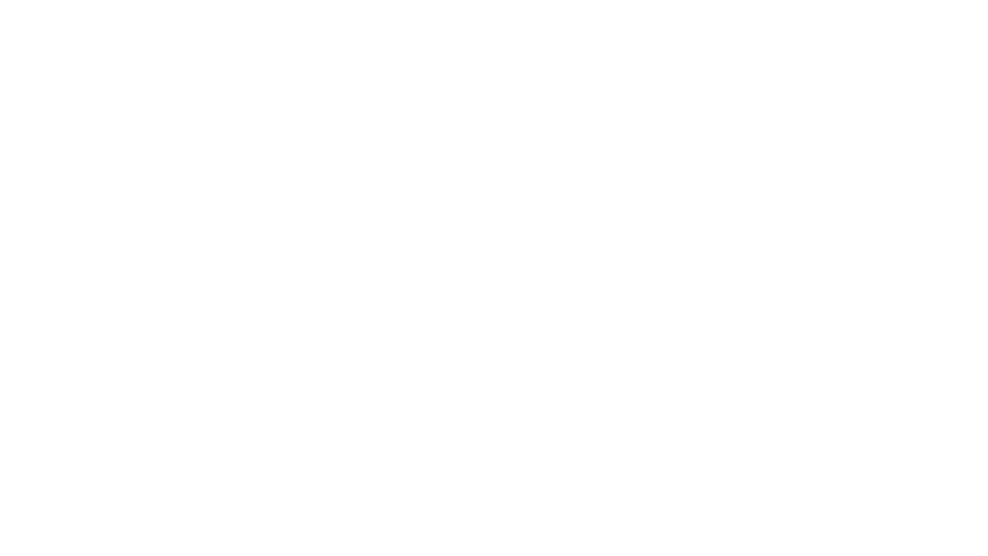 Vinhomes Vietnam Logo.
