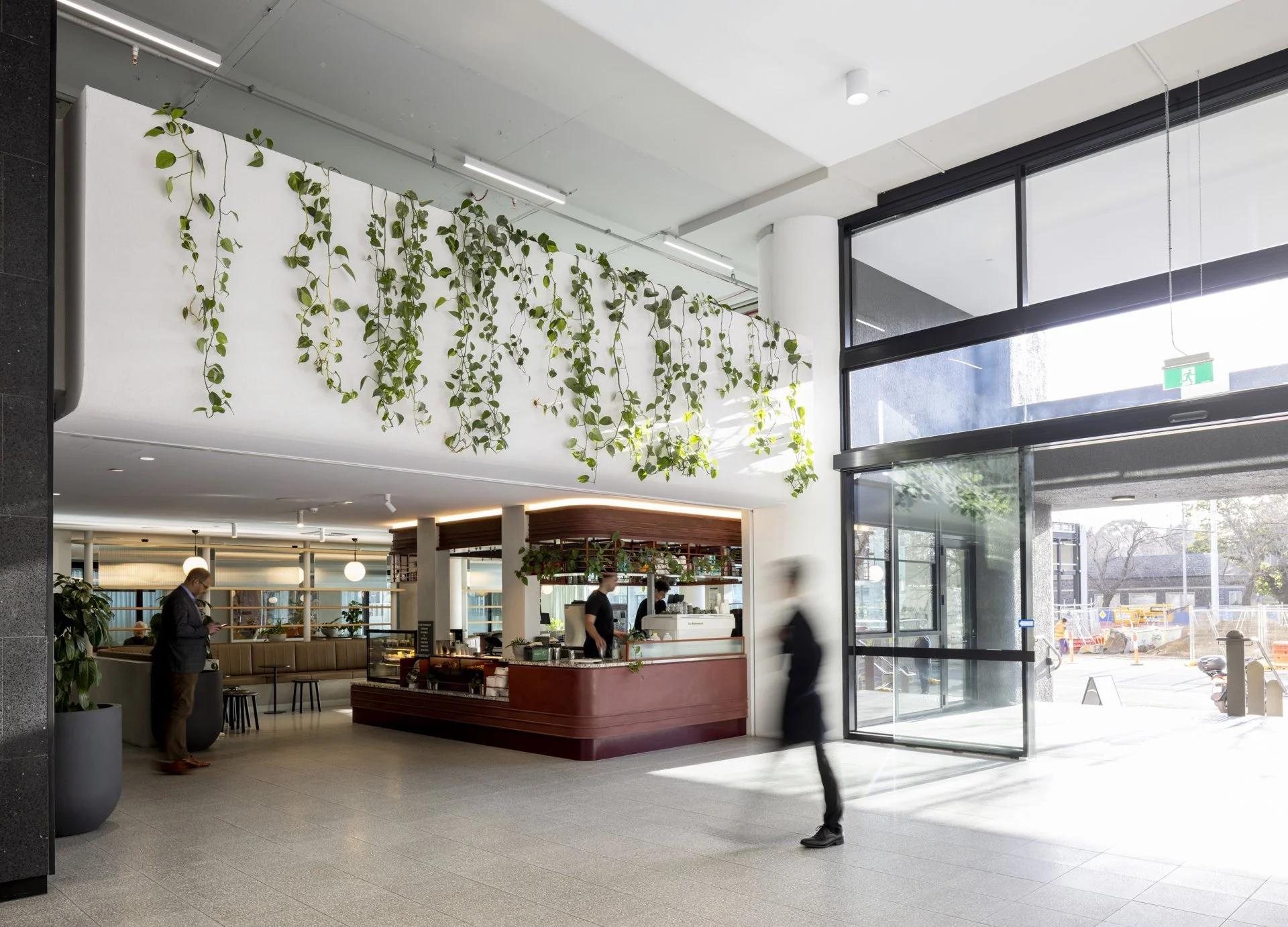 Modern cafe with large glass entrance, green plants hanging from the ceiling, and people inside. One person is checking their phone, and staff are working at the counter.