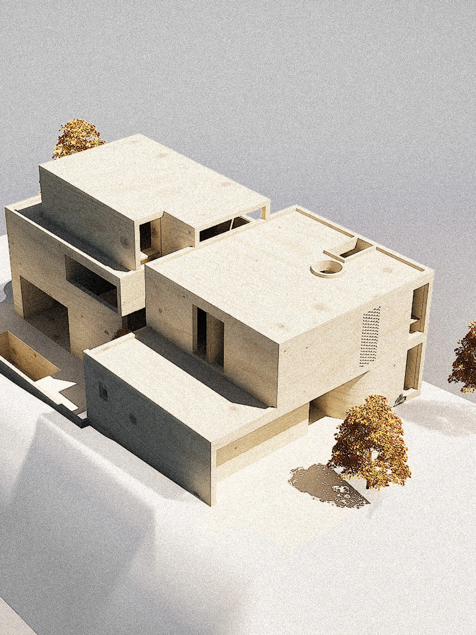 Image23.jpg