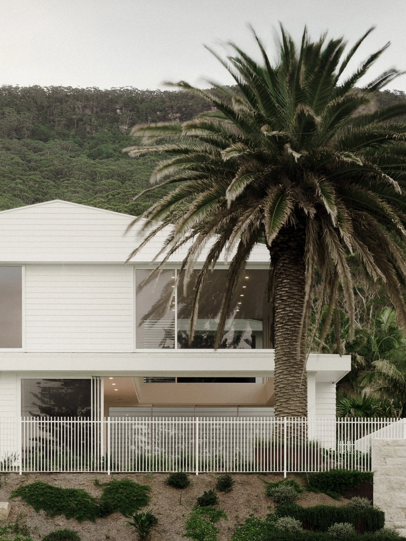 Modern white house with large glass windows, surrounded by a white fence, with a large palm tree in the front yard and a lush green hillside in the background.