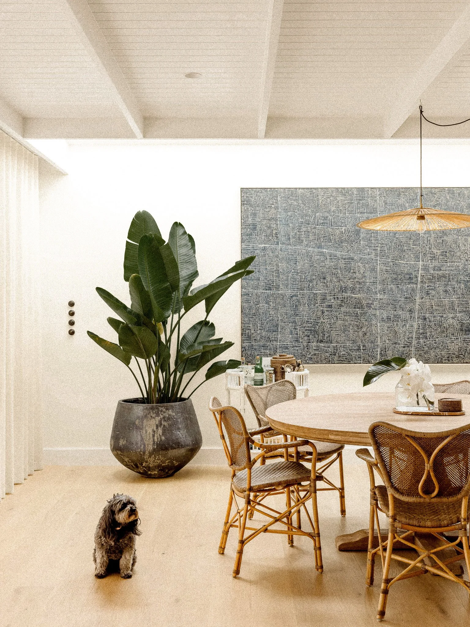 A dining room with a large potted plant in a gray textured pot, a round wooden table with wicker chairs, a blue patterned wall hanging, and a chandelier. A small dog is standing on the beige carpet near the table.