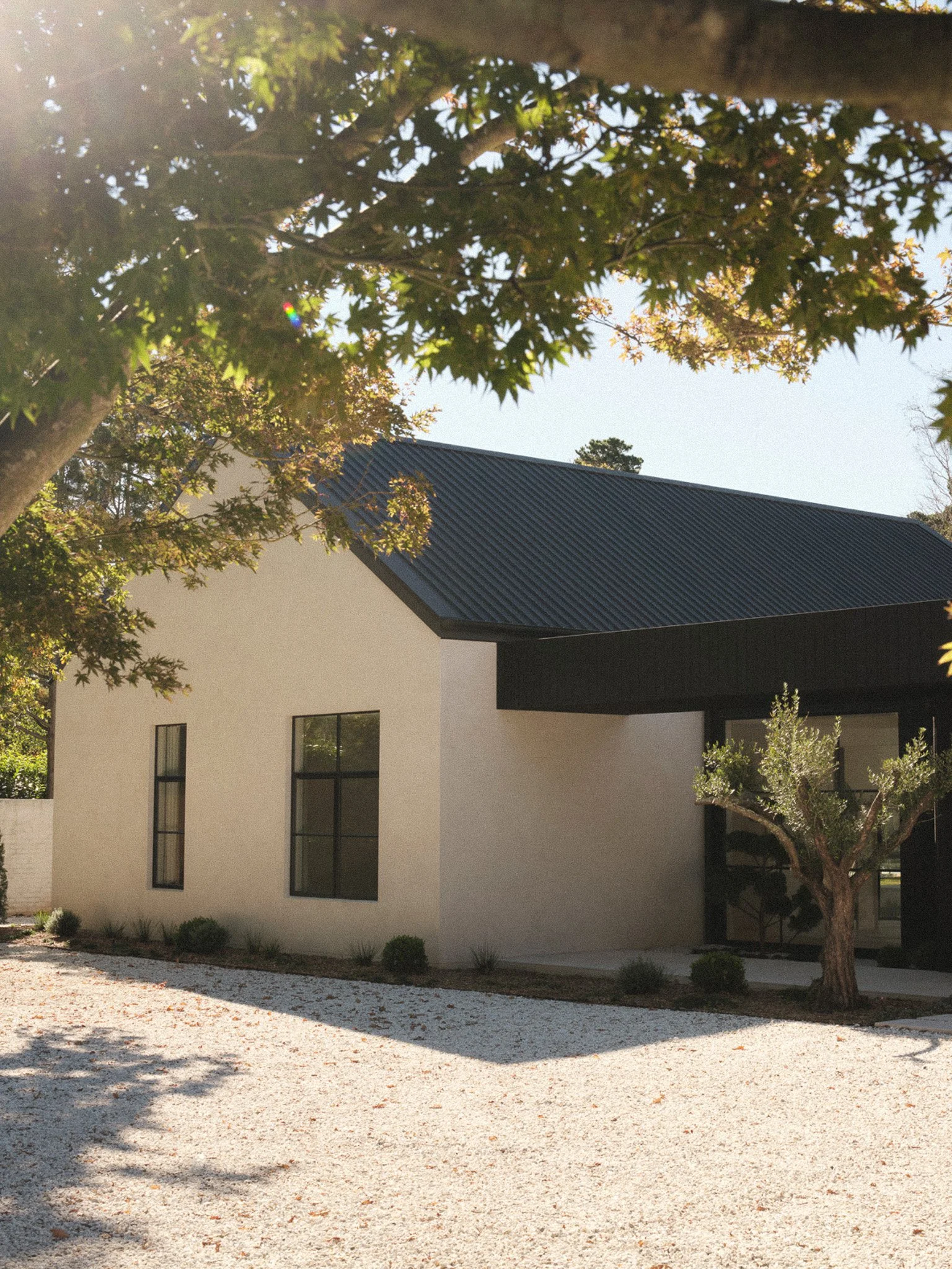 Modern house with a black roof, tall windows, and white walls, surrounded by trees and a gravel pathway with shadows and fallen leaves.