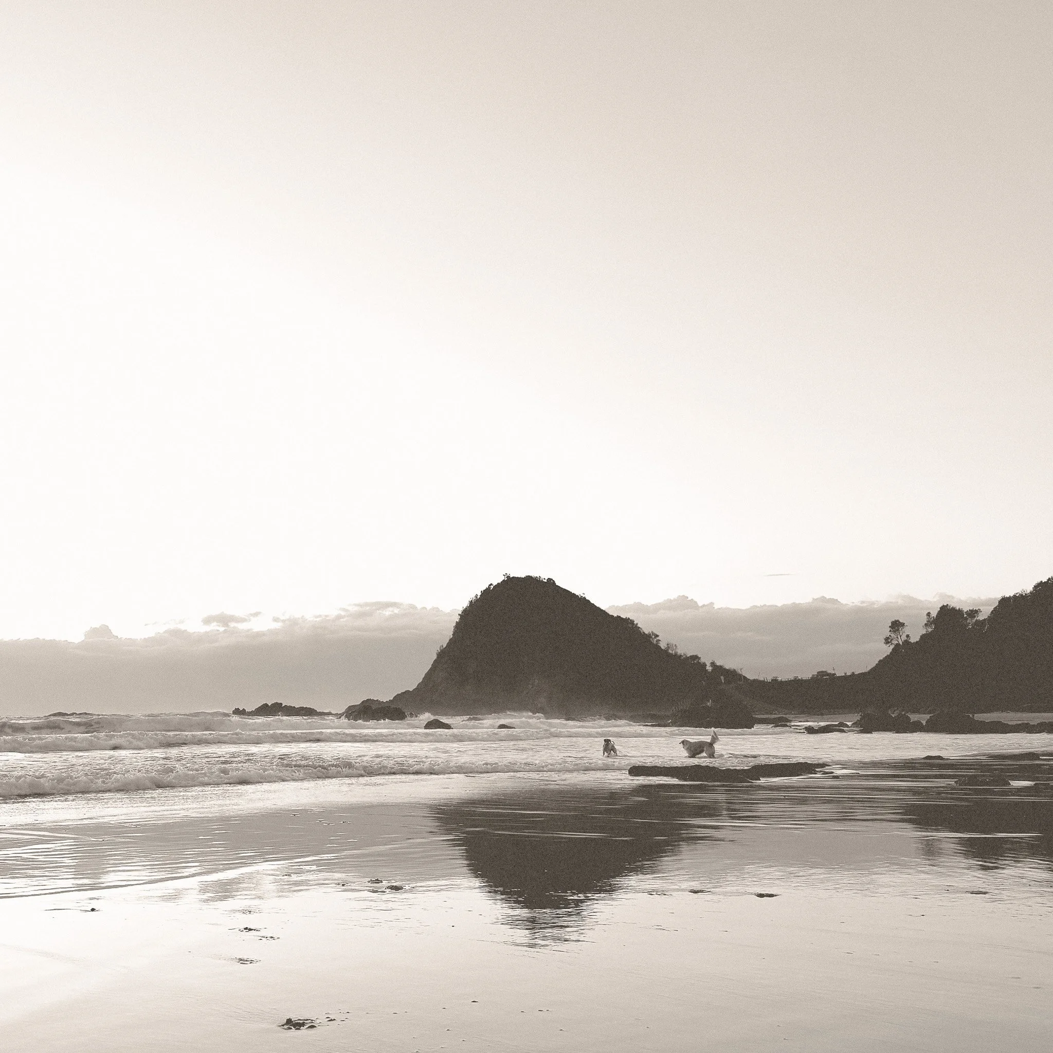 A black and white photo of a beach with the ocean in the foreground, rocks scattered along the shoreline, a large mountain or hill in the middle ground, and trees in the background.
