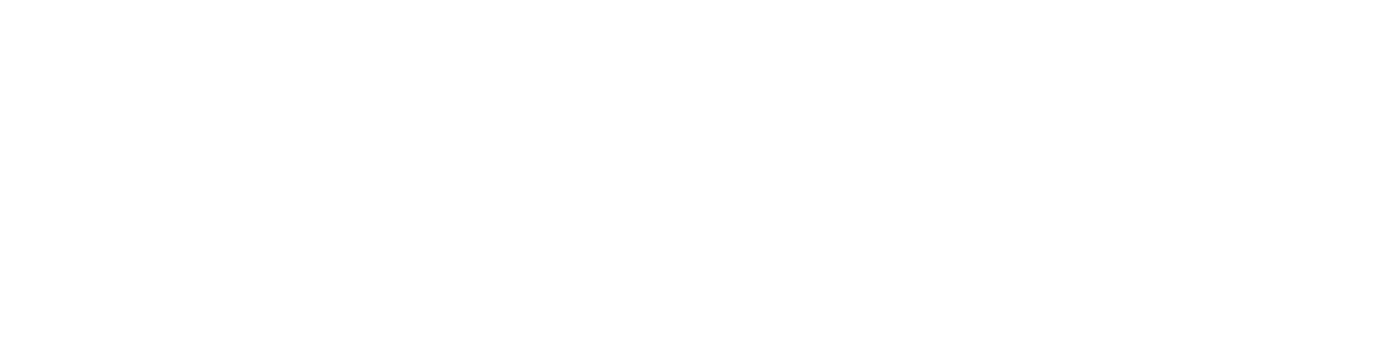 HORI &amp; CO