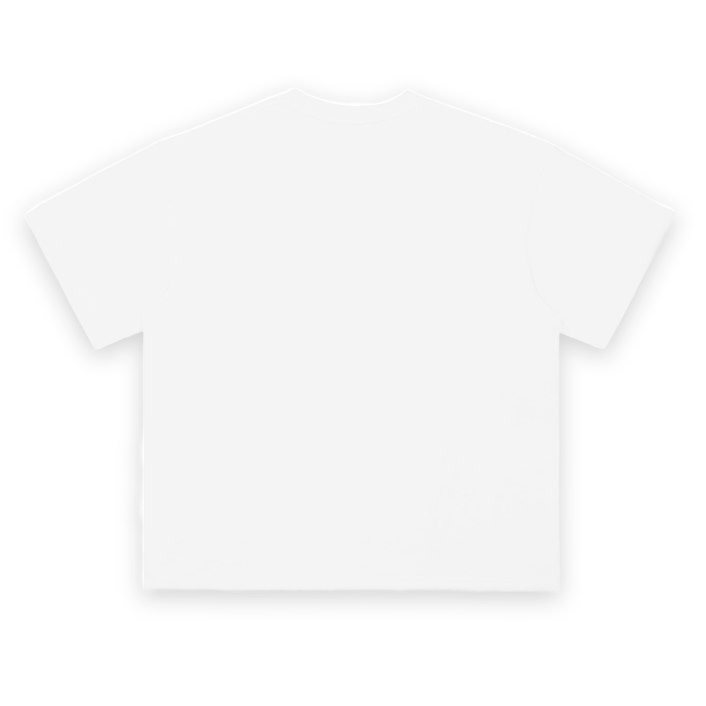 staydelusional-white-back.png
