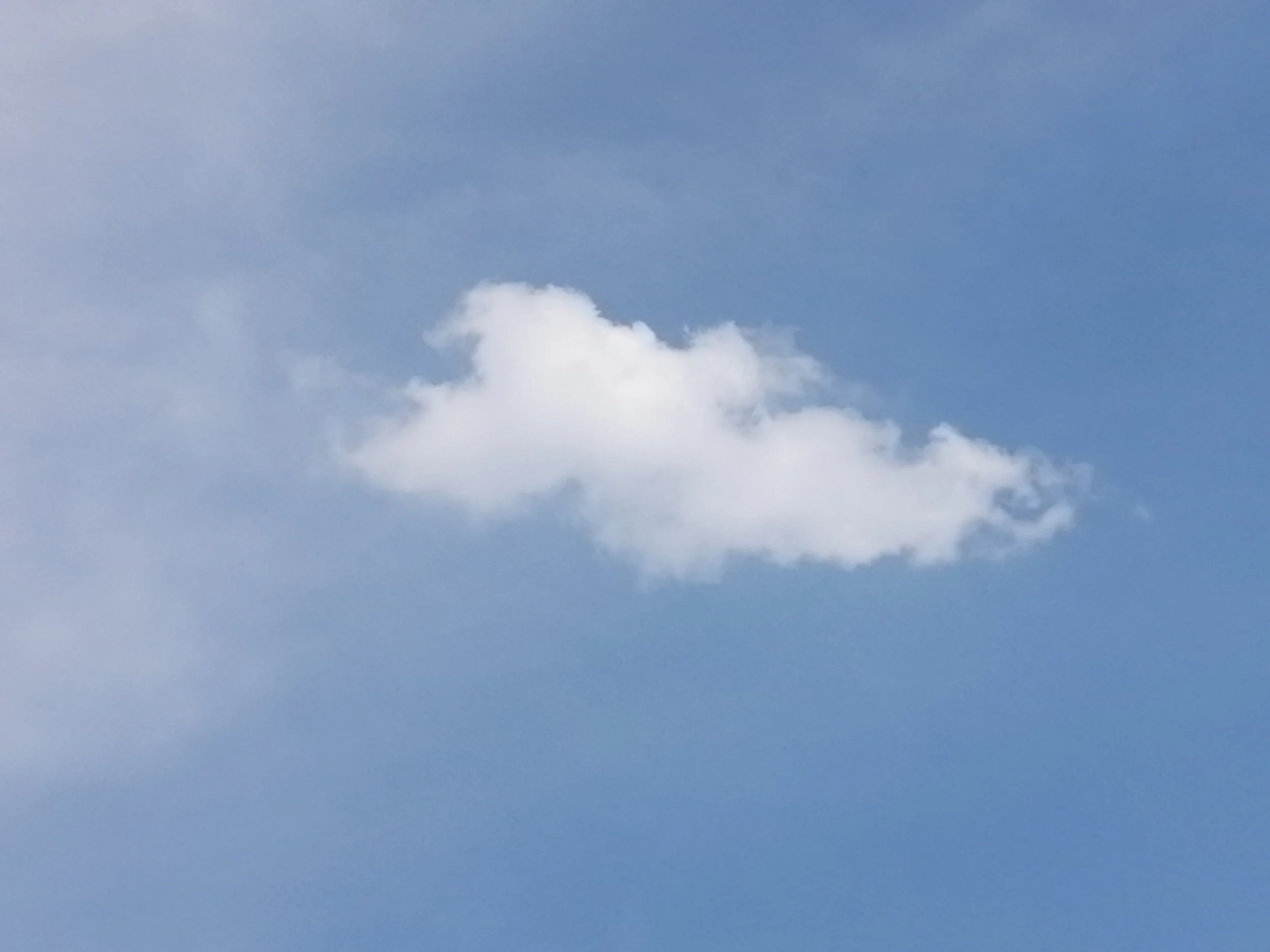 a rare cloud