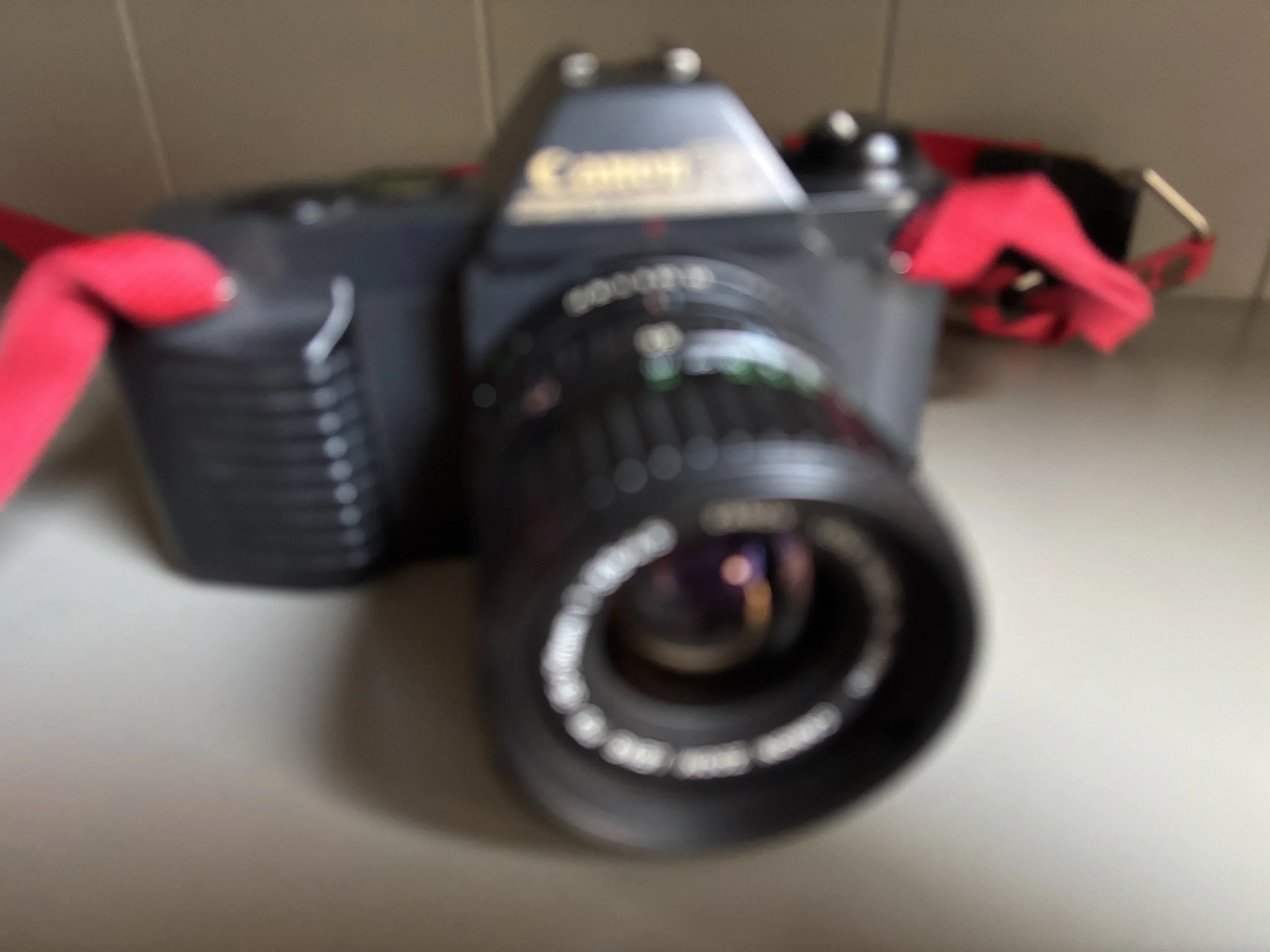 IMG_8486.jpeg