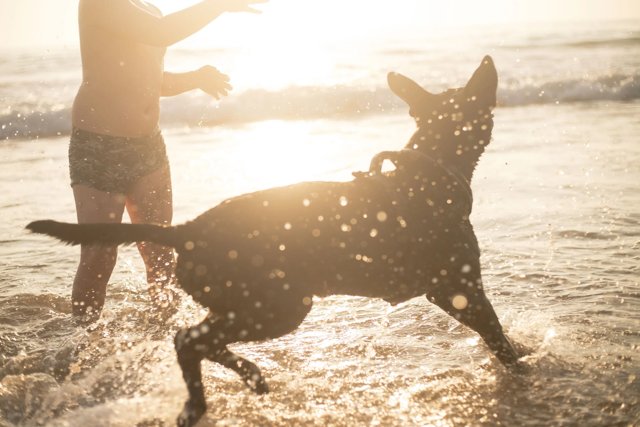 Nonstop_Dogwear_Brandshooting_Portugal20250610_0010.jpg