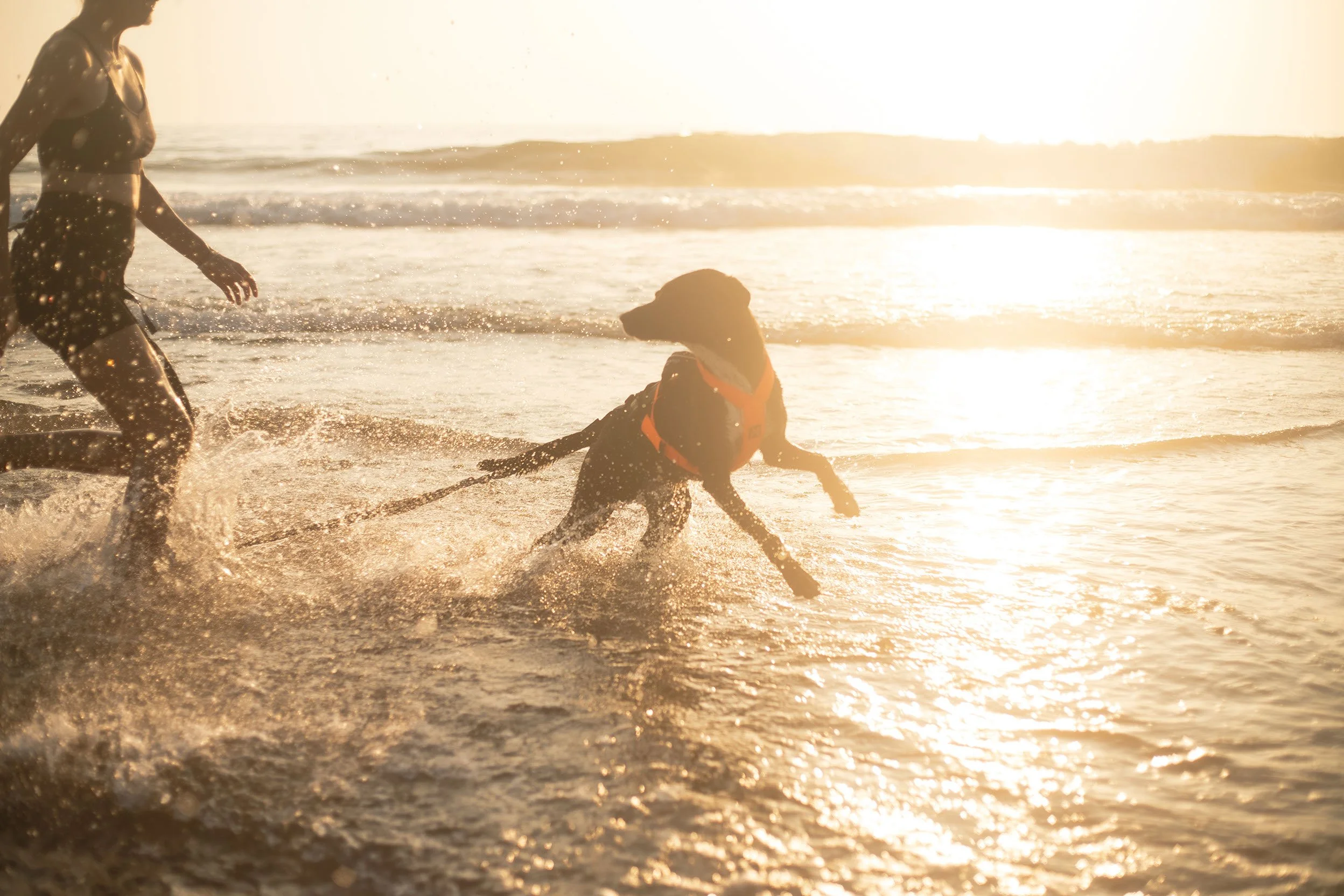 Nonstop_Dogwear_Brandshooting_Portugal20250610_0028.jpg