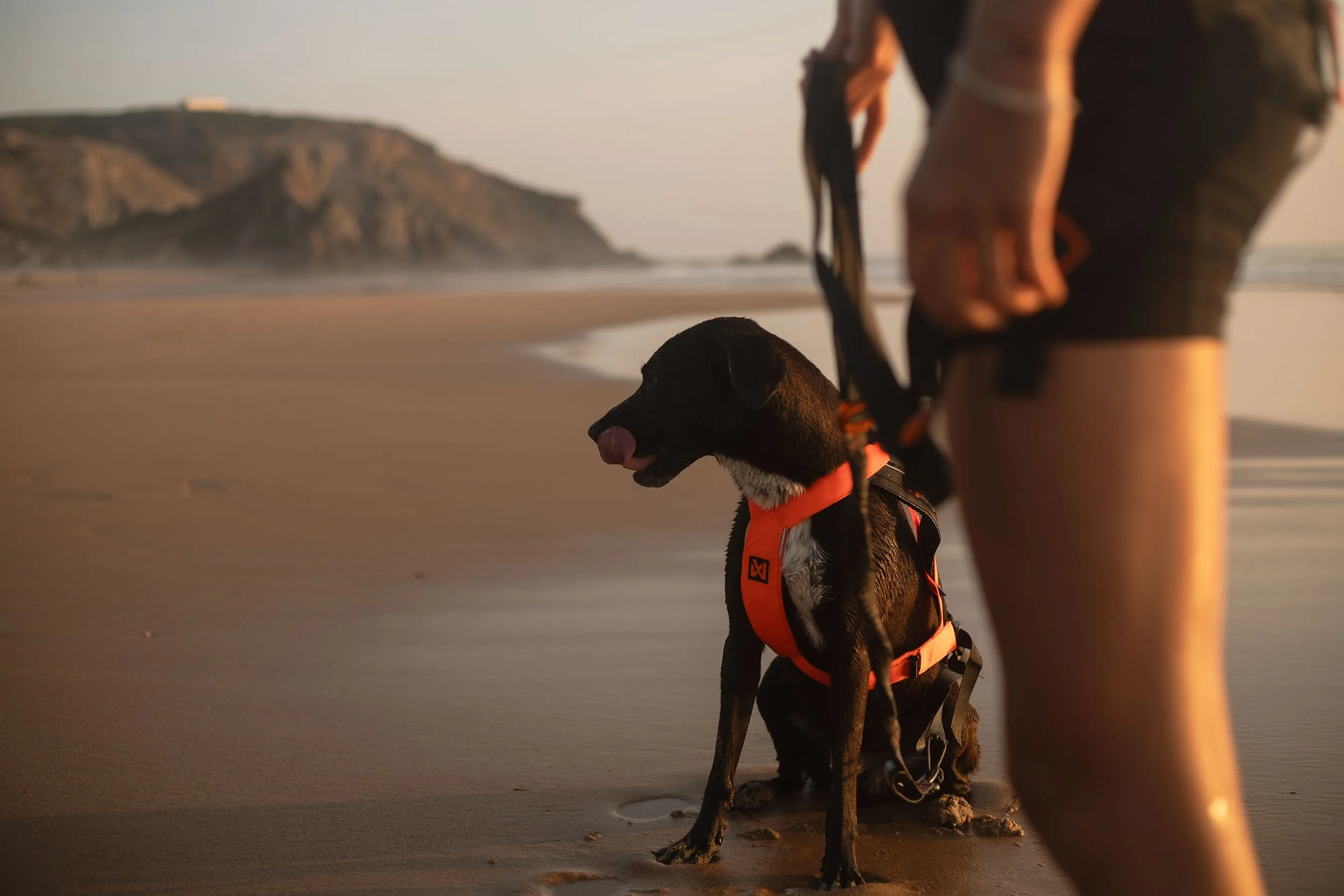 Nonstop_Dogwear_Brandshooting_Portugal20250610_0059.jpg