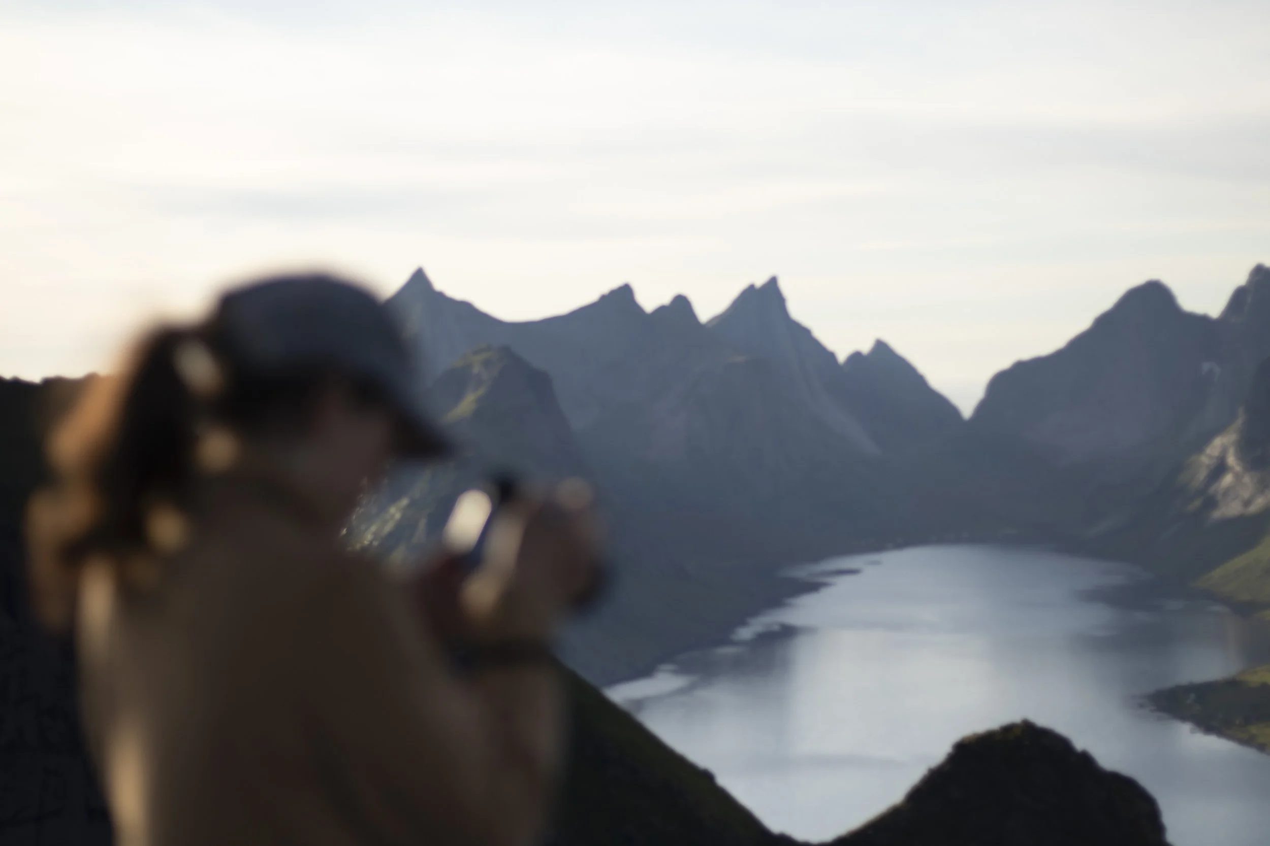Lofoten Foto & Van tour