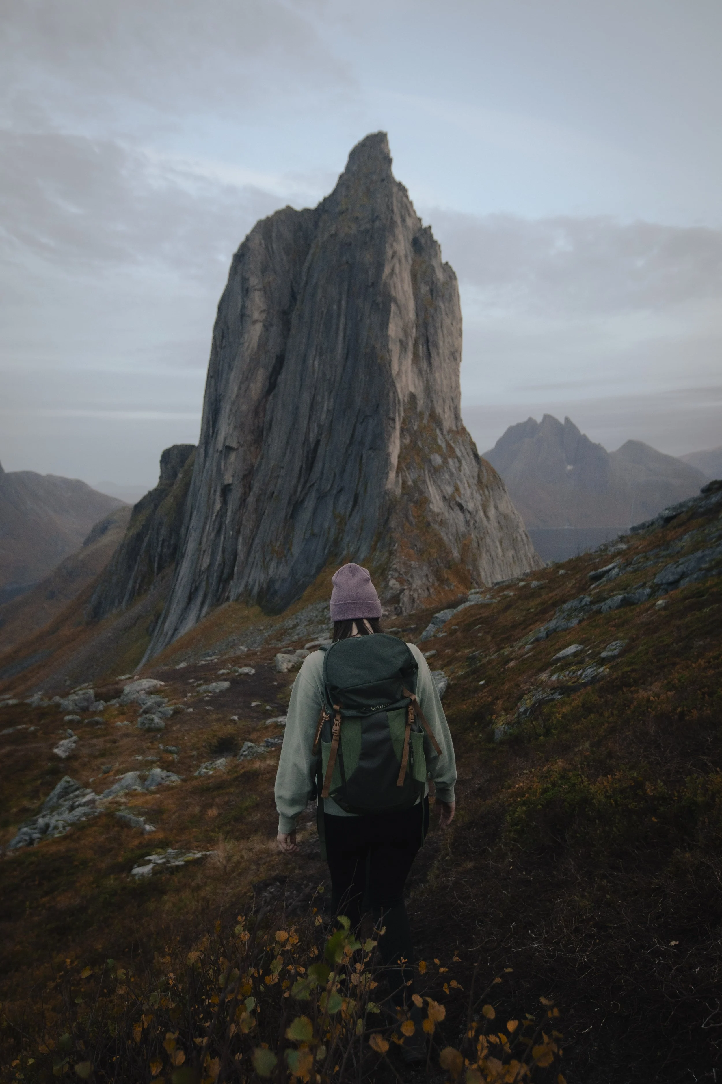 Lofoten_Vantour_2023115.jpg