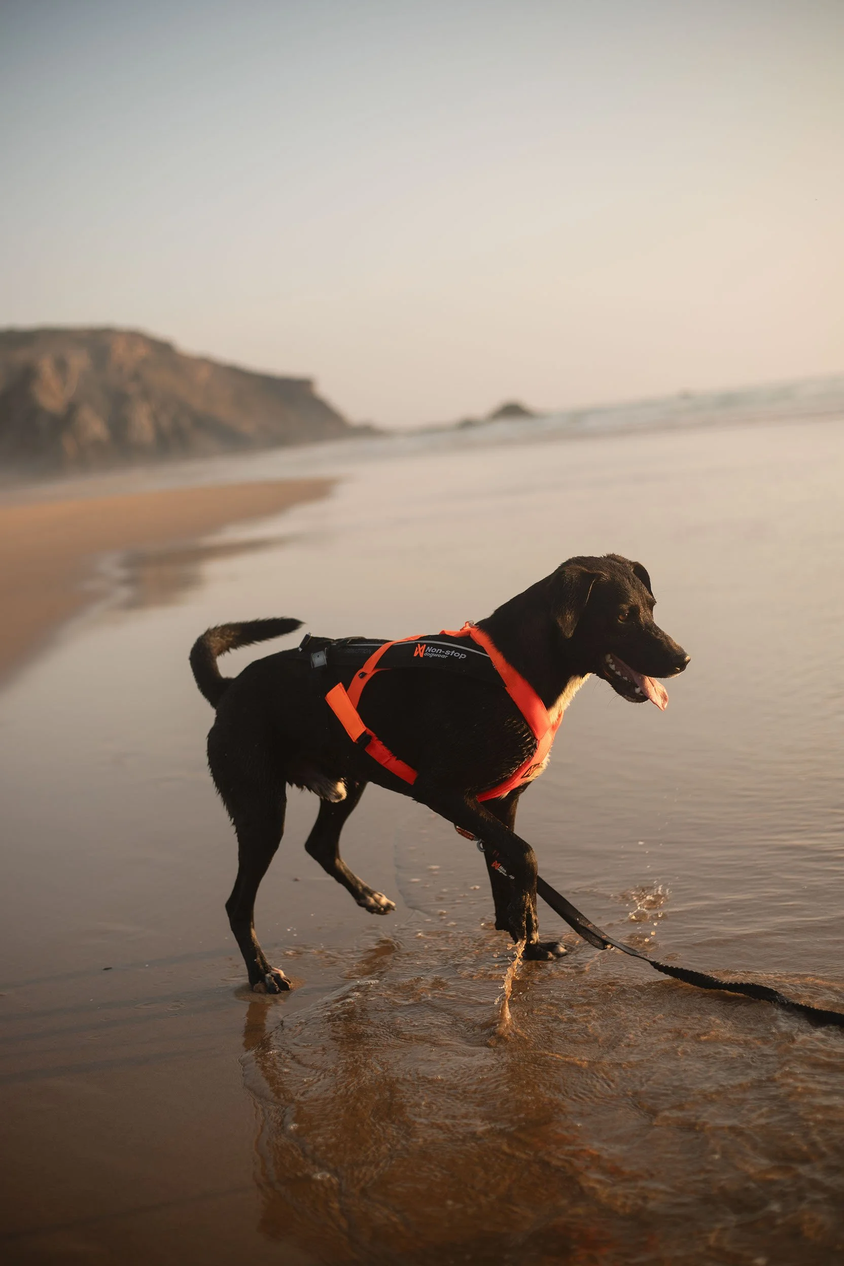 Nonstop_Dogwear_Brandshooting_Portugal20250610_0032.jpg