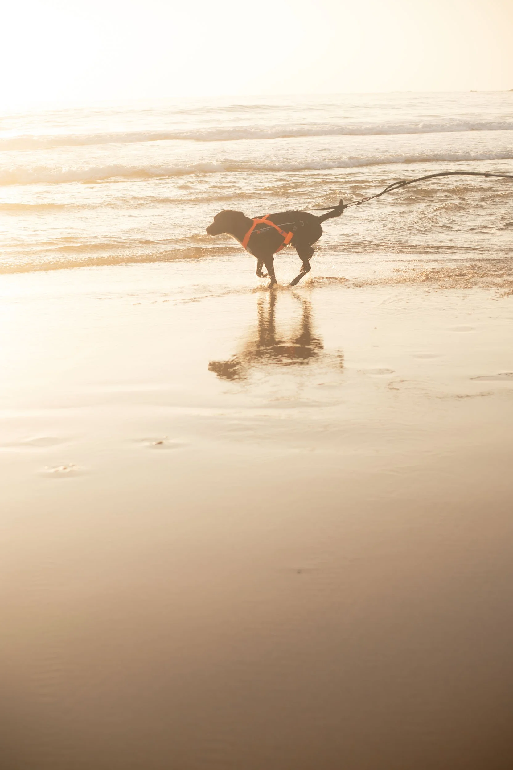Nonstop_Dogwear_Brandshooting_Portugal20250610_0045.jpg