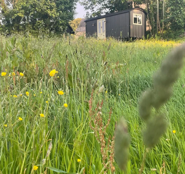 The Meadow Hut (En-suite)