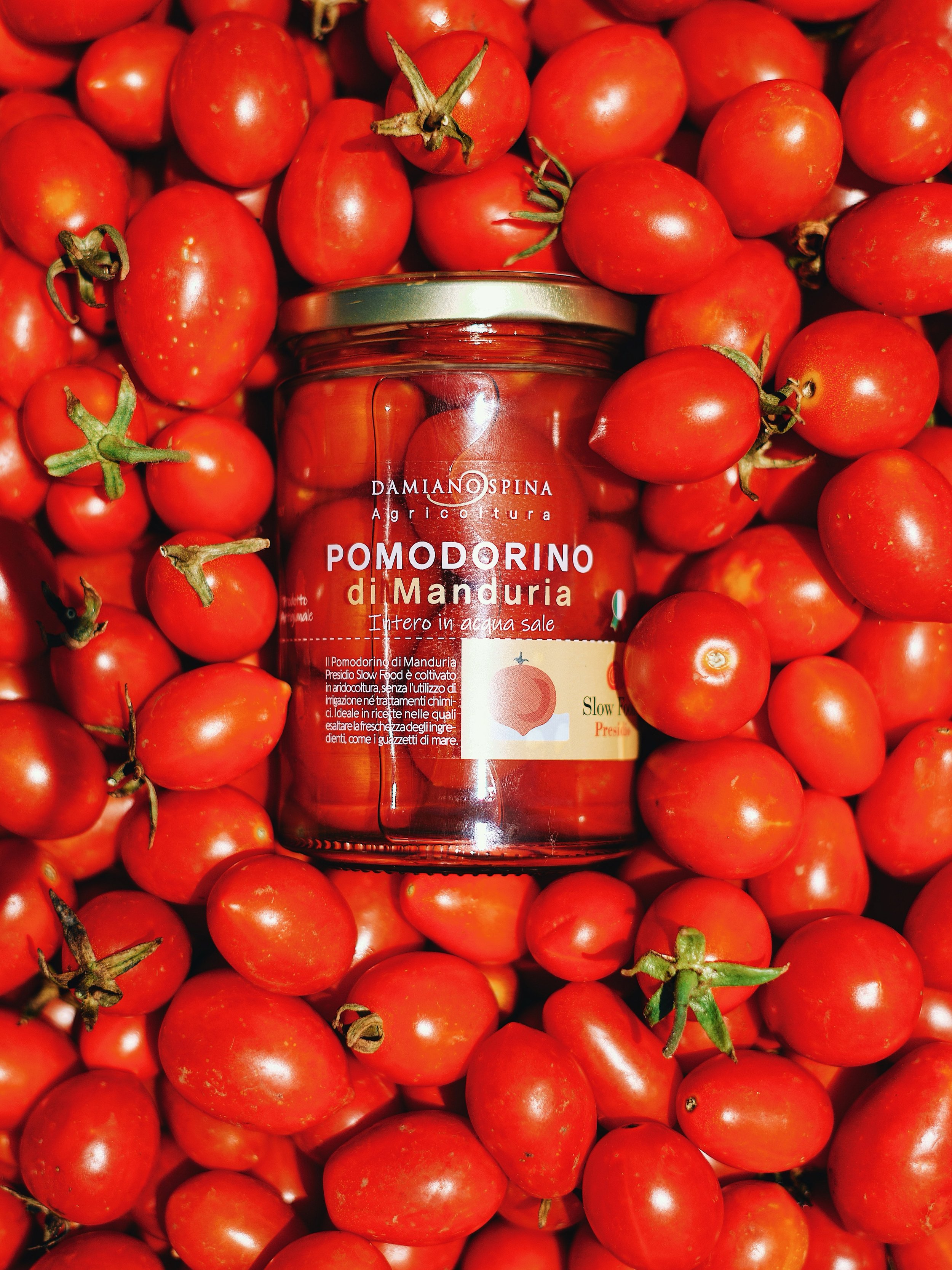 @pomodorinodimanduria Presidio Slow Food.
Coltivato da noi, nella terra che da sempre gli appartiene.🍅

__
@pomodorinodimanduria Slow Food Presidium.
Grown by us, in the land it has always called home.

#SpinaSaporidiPuglia #pomodorinodimanduria #sl