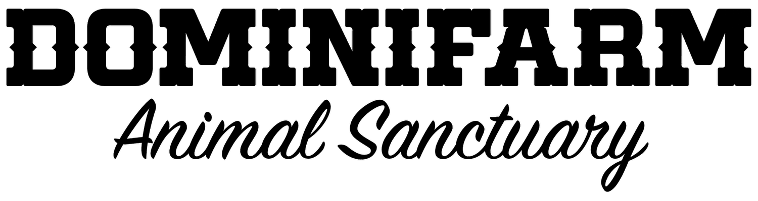 Logo for Dominican Animal Sanctuary featuring bold uppercase text 'DOMINICAN' with a playful and friendly font, and cursive text 'Animal Sanctuary' underneath.