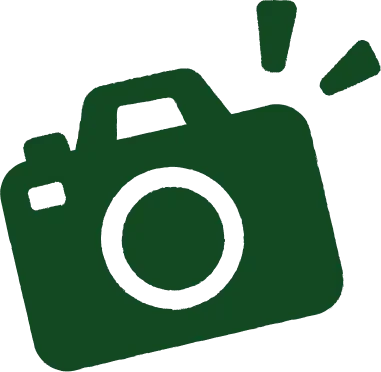 A simple dark green icon of a camera with a flash.