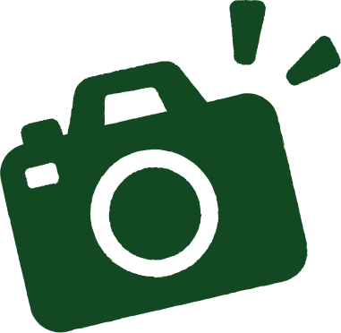 Silhouette of a camera icon in green.