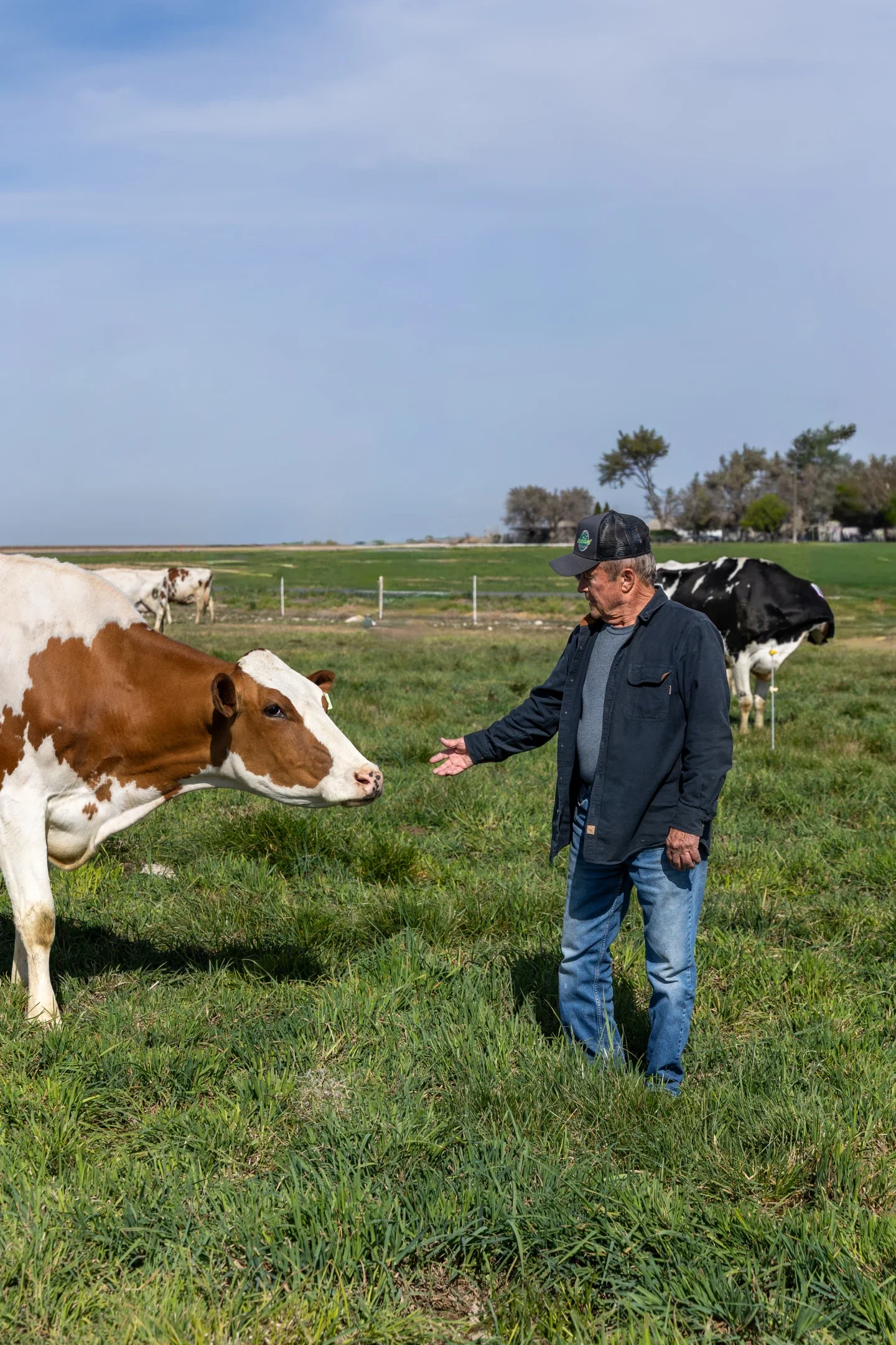 Cloverleaf Creamery