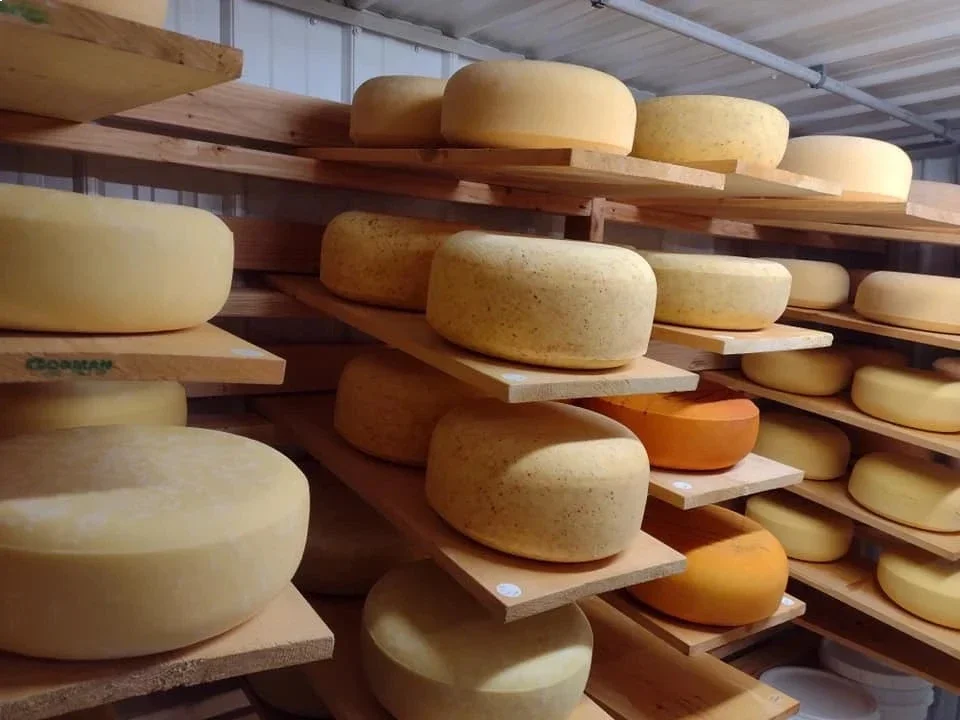 Evans Farmstead Cheese