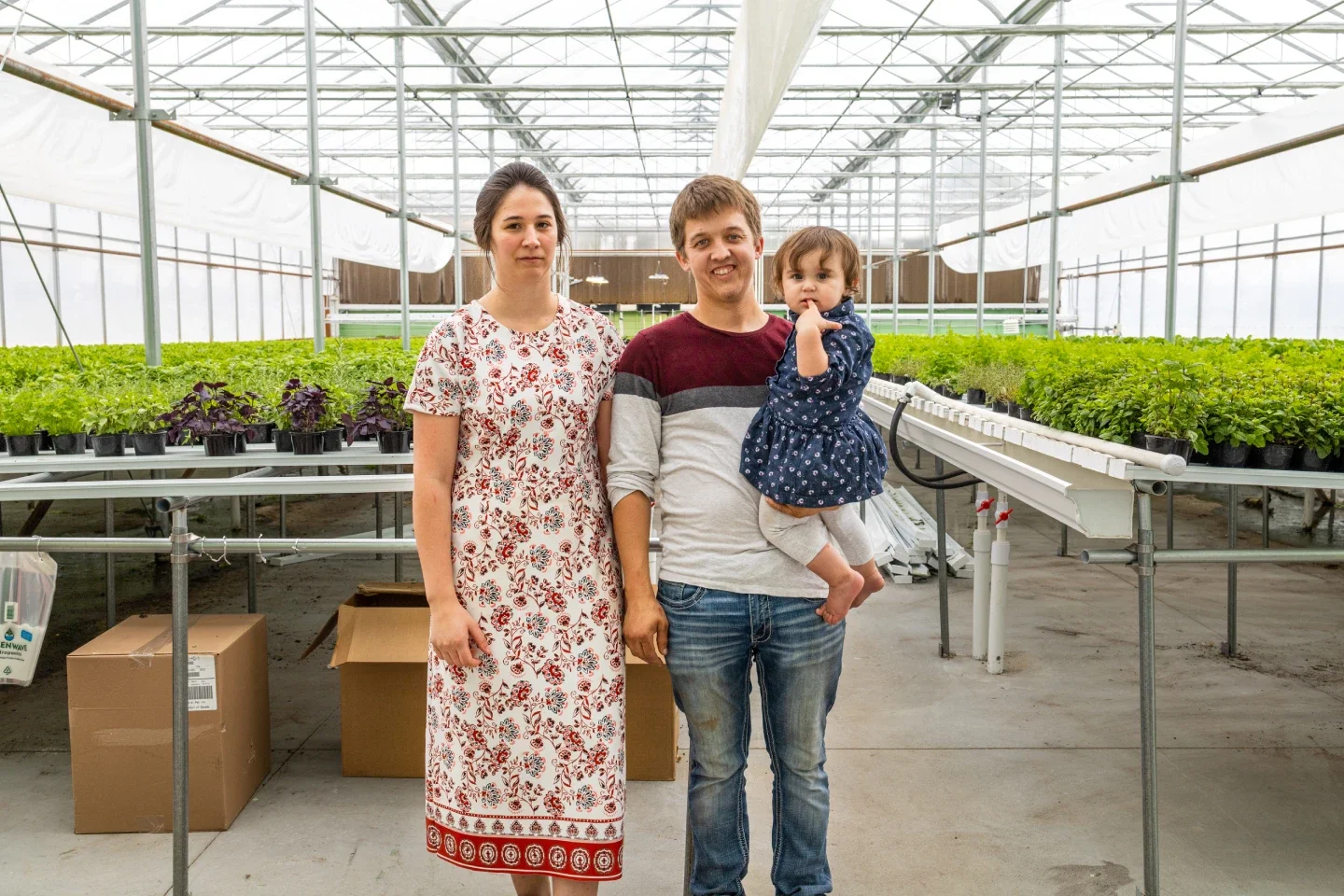 Greenwave Hydroponics