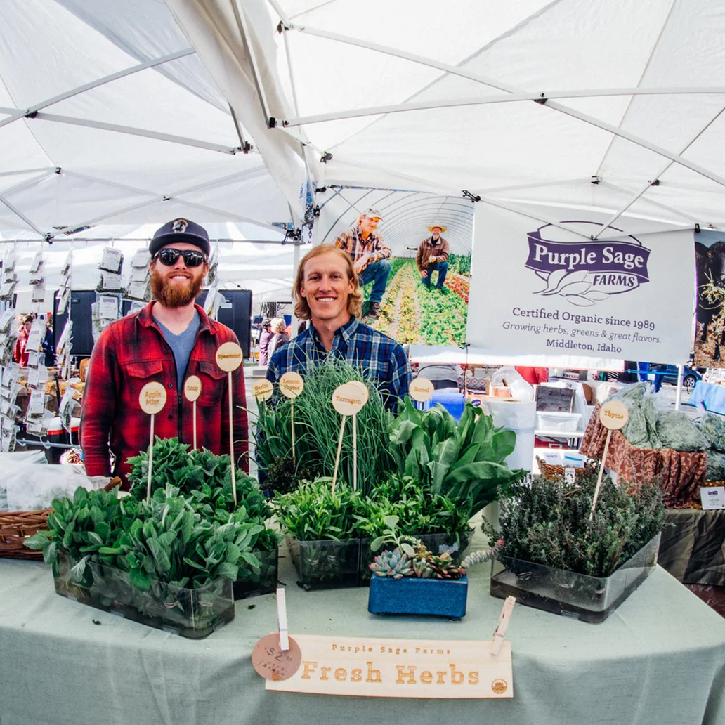 Two people standing at a farm stand displaying fresh herbs. The stand has a sign for Purple Sage Farms, a certified organic farm from Middleton, Idaho. There are herbs like thyme, sage, and lettuce on the table, with labels and a price sign for $2.
