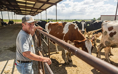 A man standing next to a railing at a cow farm, with several cows grazing in the background.