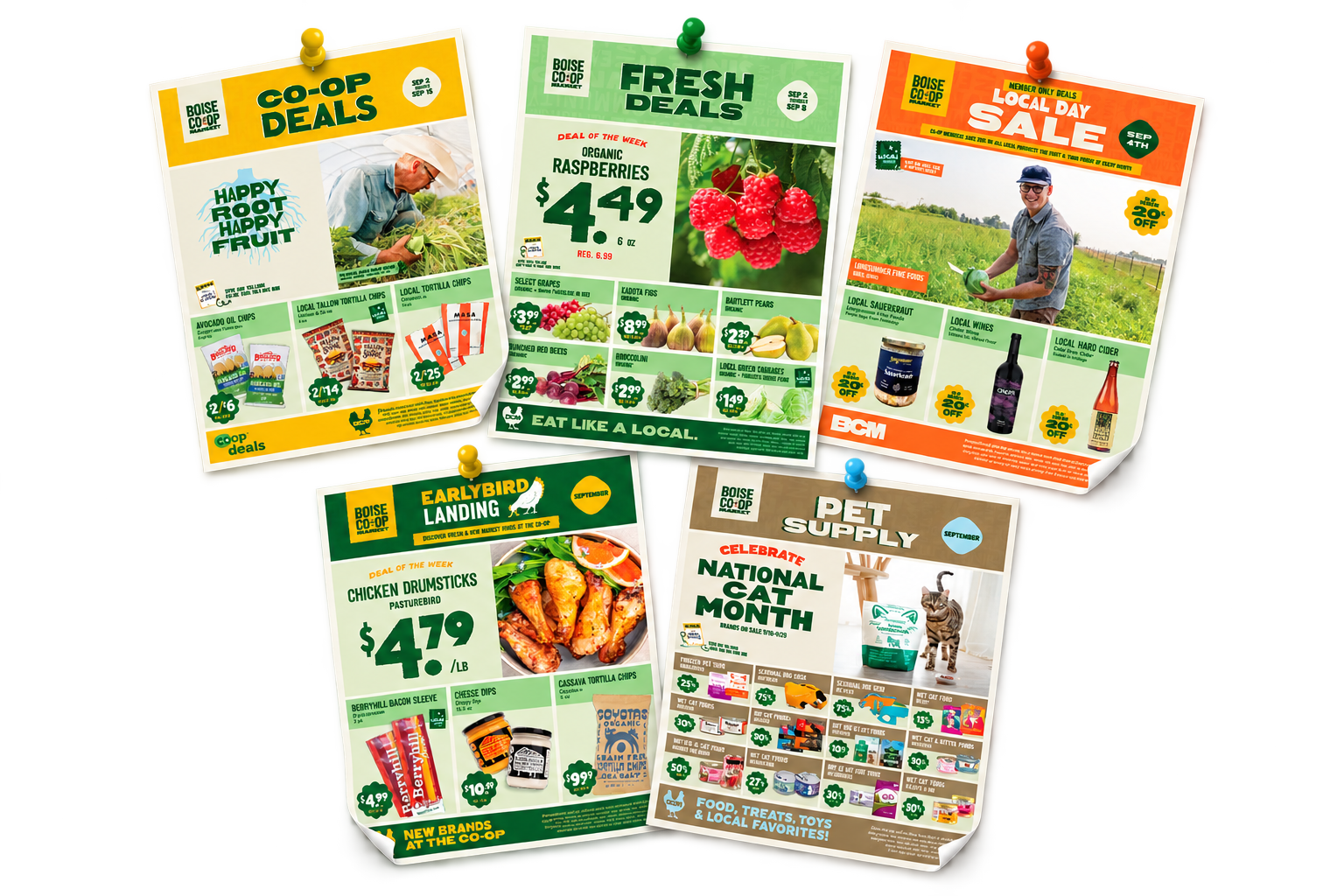 Collection of five colorful grocery store flyers with deals on produce, pet supplies, and food items, pinned to a surface with push pins.