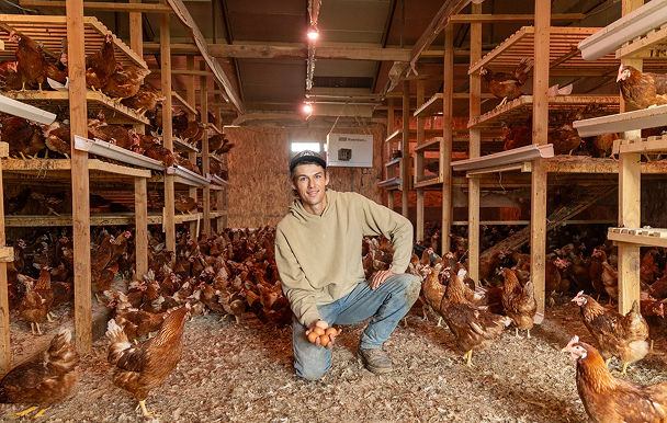 A young man kneeling inside a chicken coop, surrounded by chickens, with shelves of eggs and roosting chickens on elevated perches.