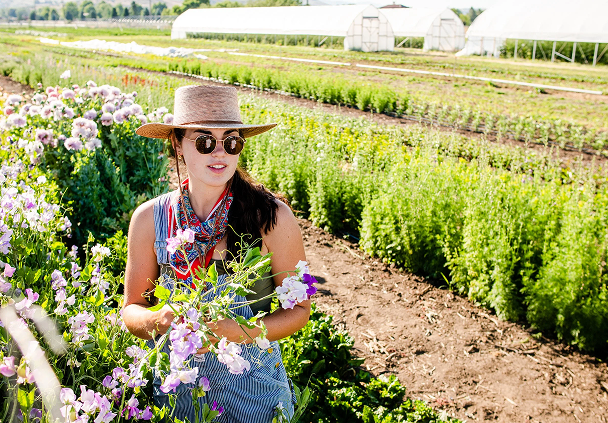A woman wearing a straw hat, sunglasses, and a sleeveless blouse picking flowers in a garden with rows of flowers and greenhouses in the background.