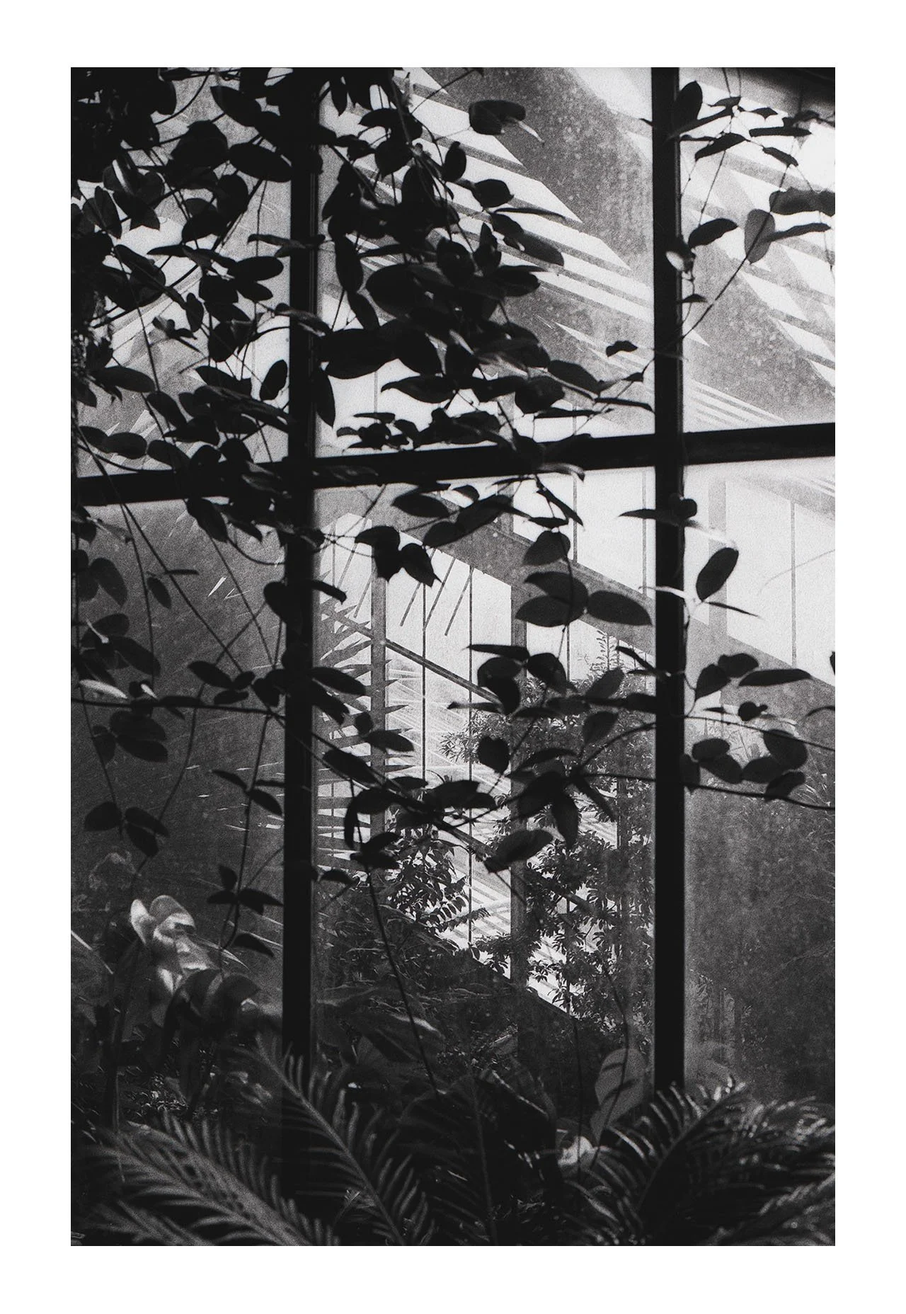 Kew insta 3.jpg