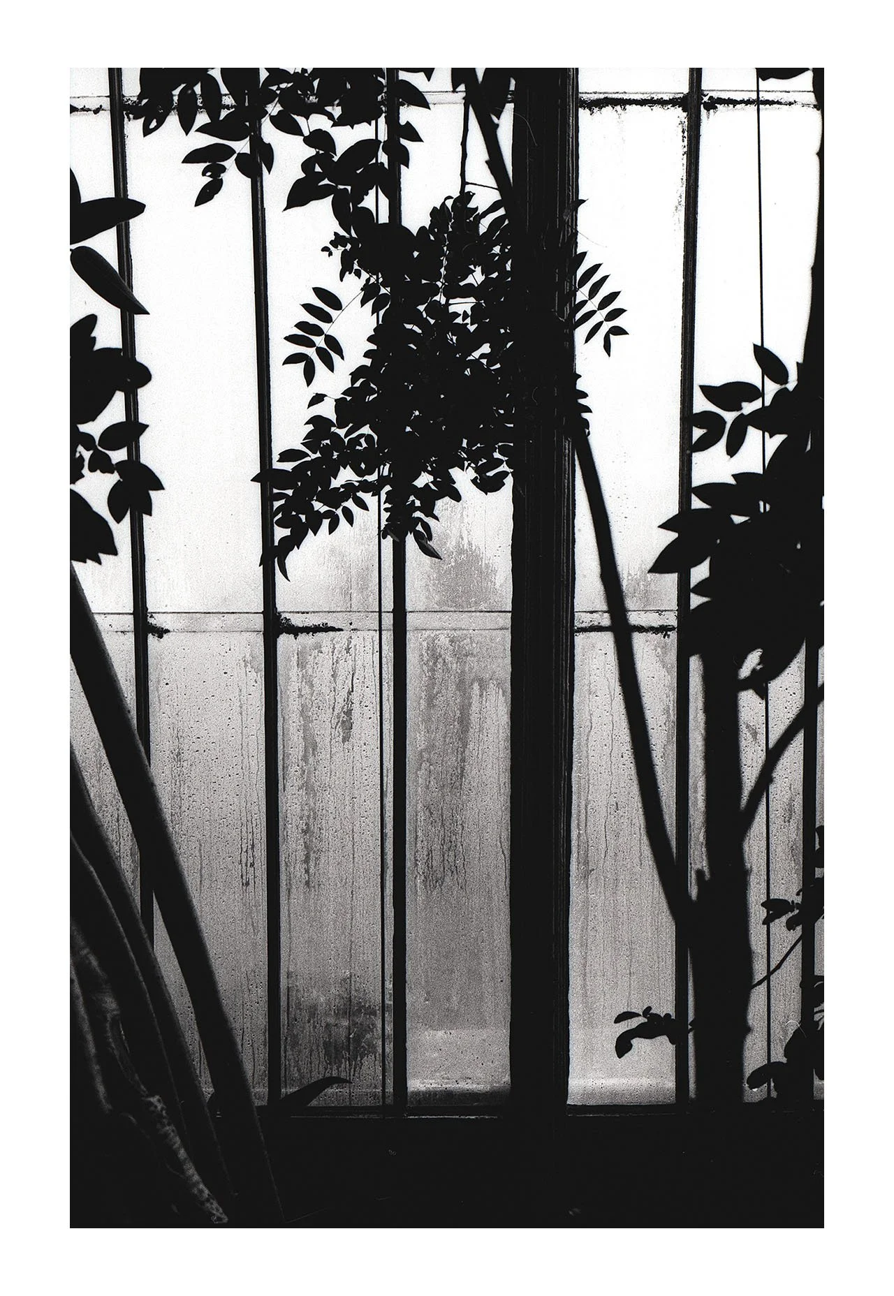 Kew Insta 2.jpg