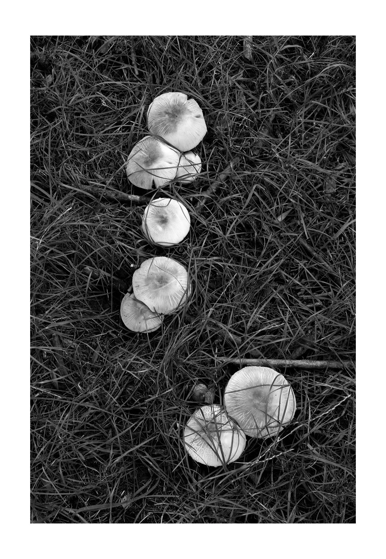 IMG_0574 copy.jpg