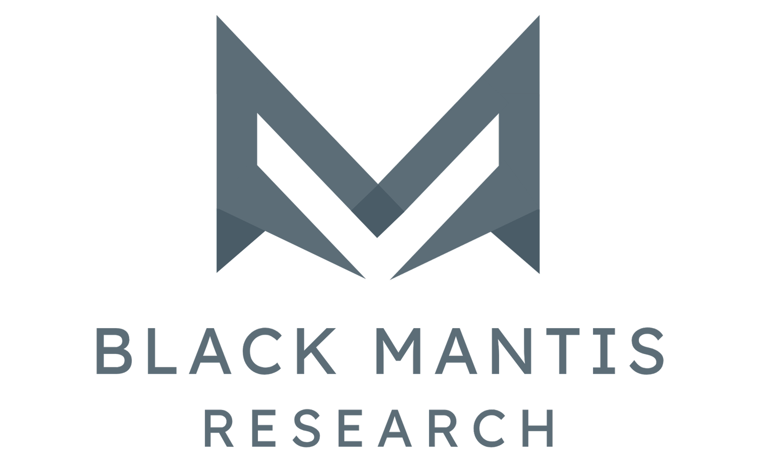 Black Mantis Research | Hospitality Cybersecurity &amp; Digital Risk Consulting