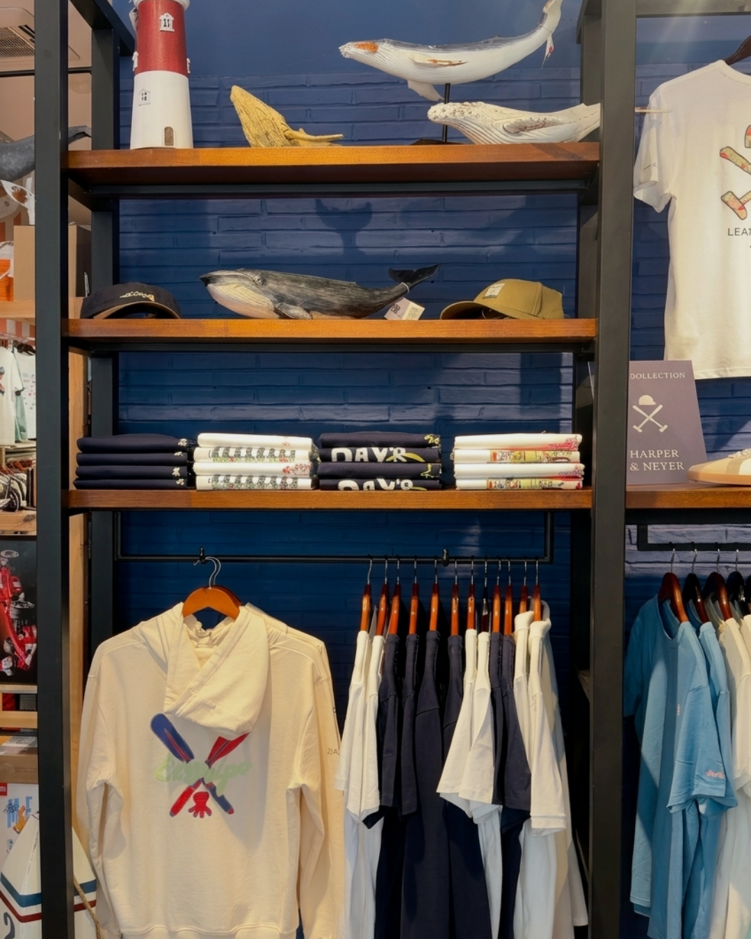 Creación de contenido y gestión de redes sociales para Haddock Store Triana